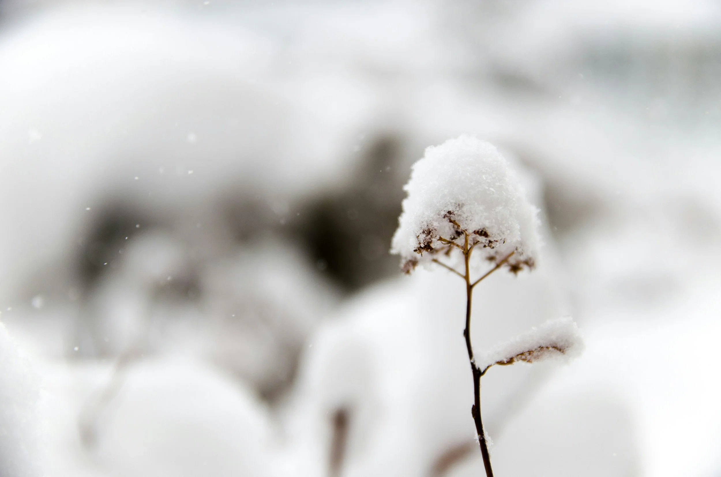 Winter Skincare Support 