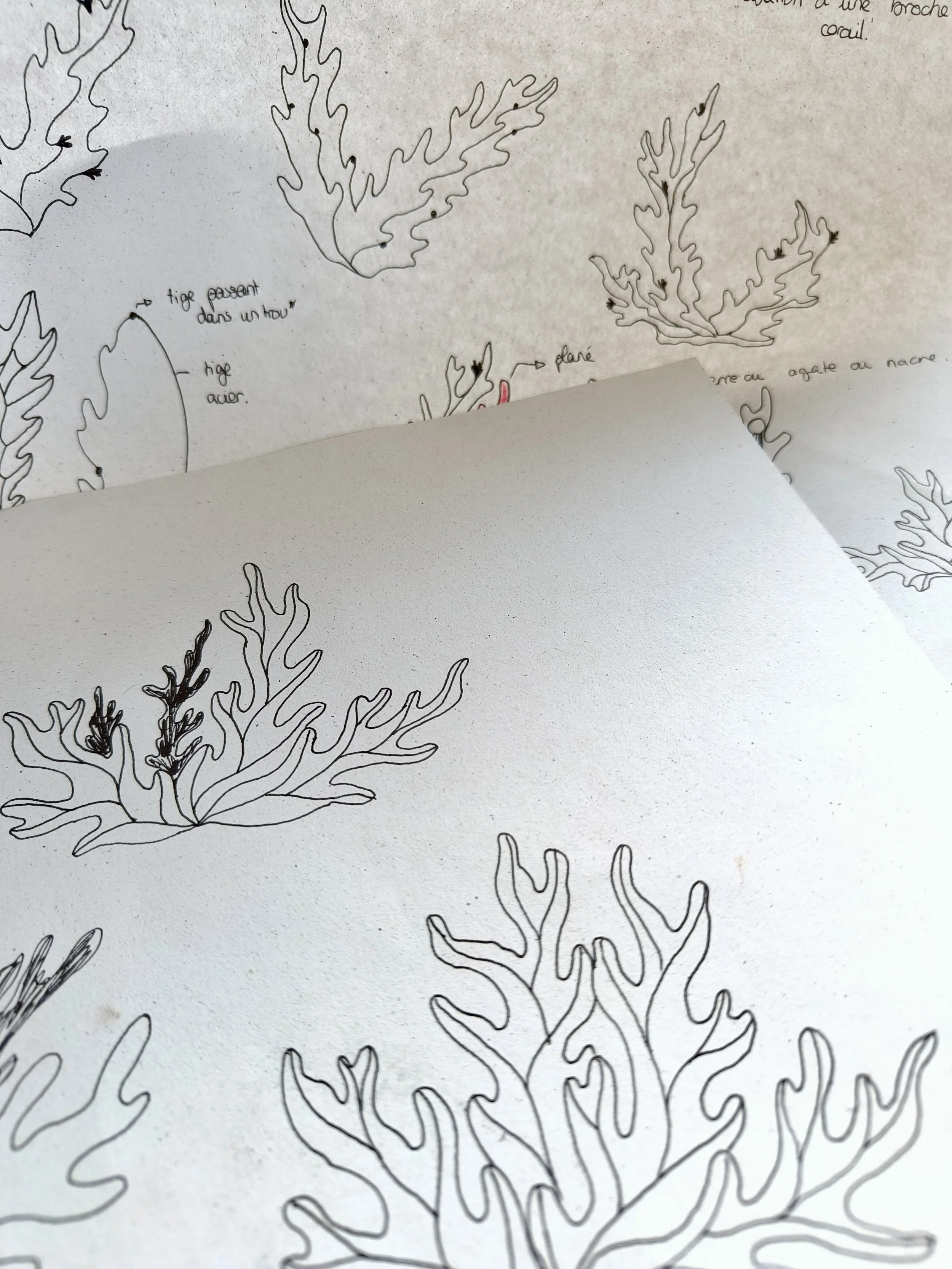 Nina-Faivre-corail-6.jpg
