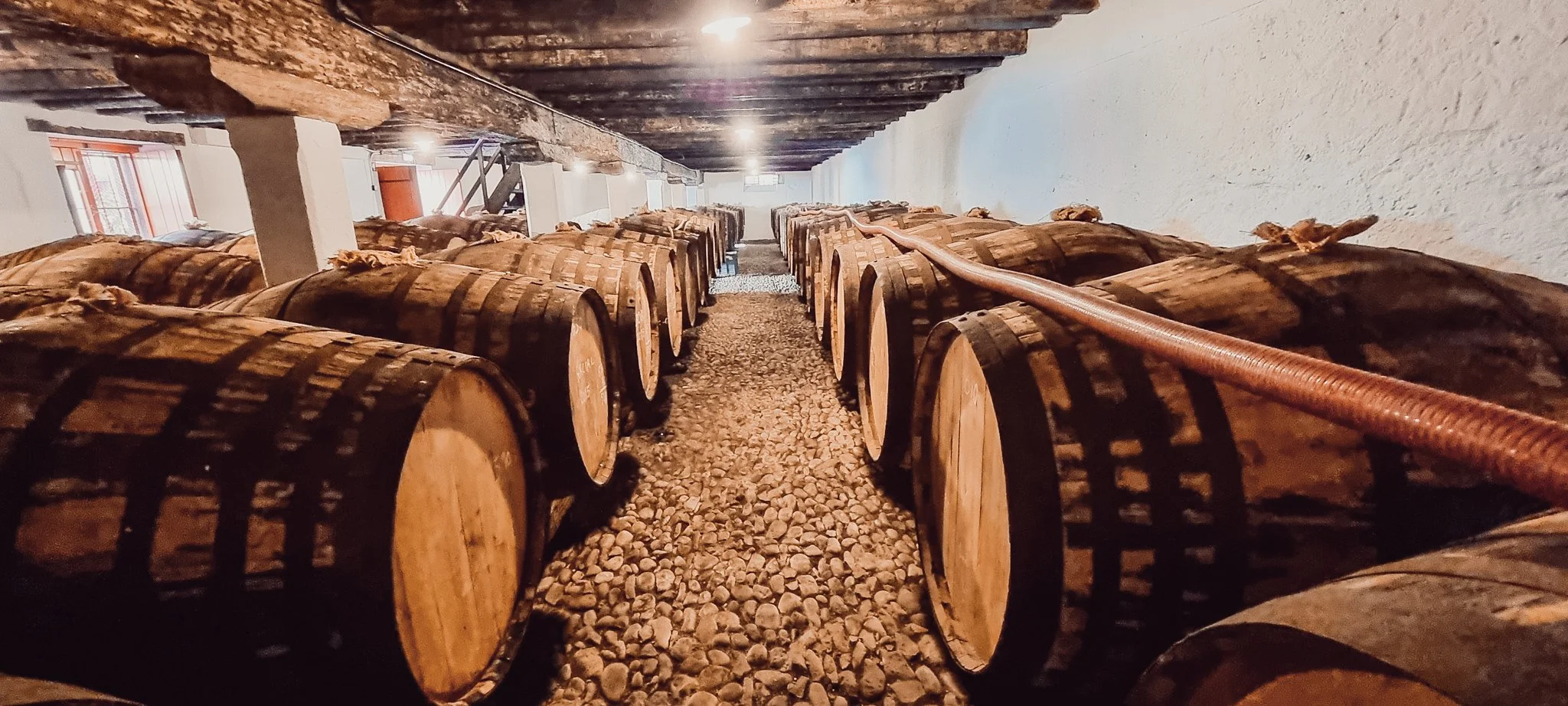 Madeira Wine Notes — Richard Mayson
