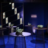 5_VIP_BlueRoom.jpg