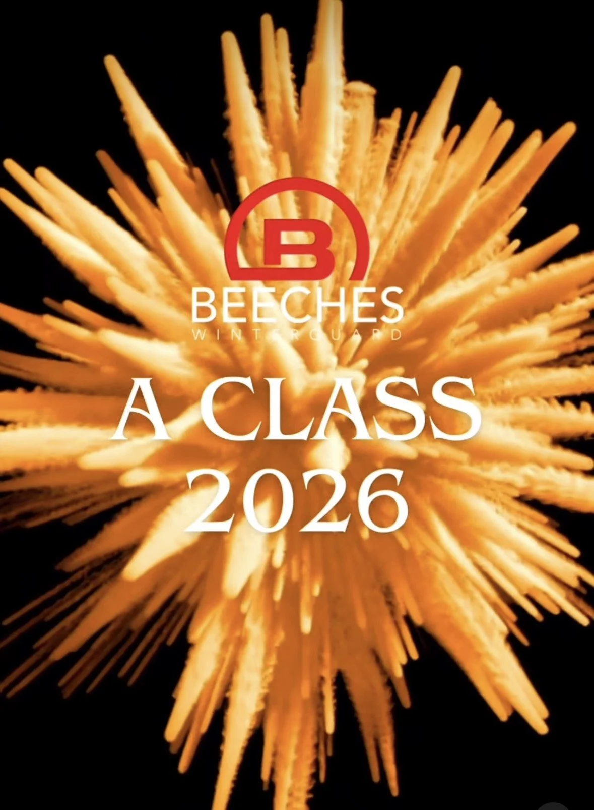 Beeches Juniors will be moving to A Class