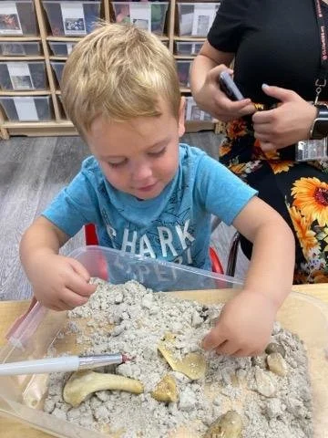 Digging for Dinosaurs 