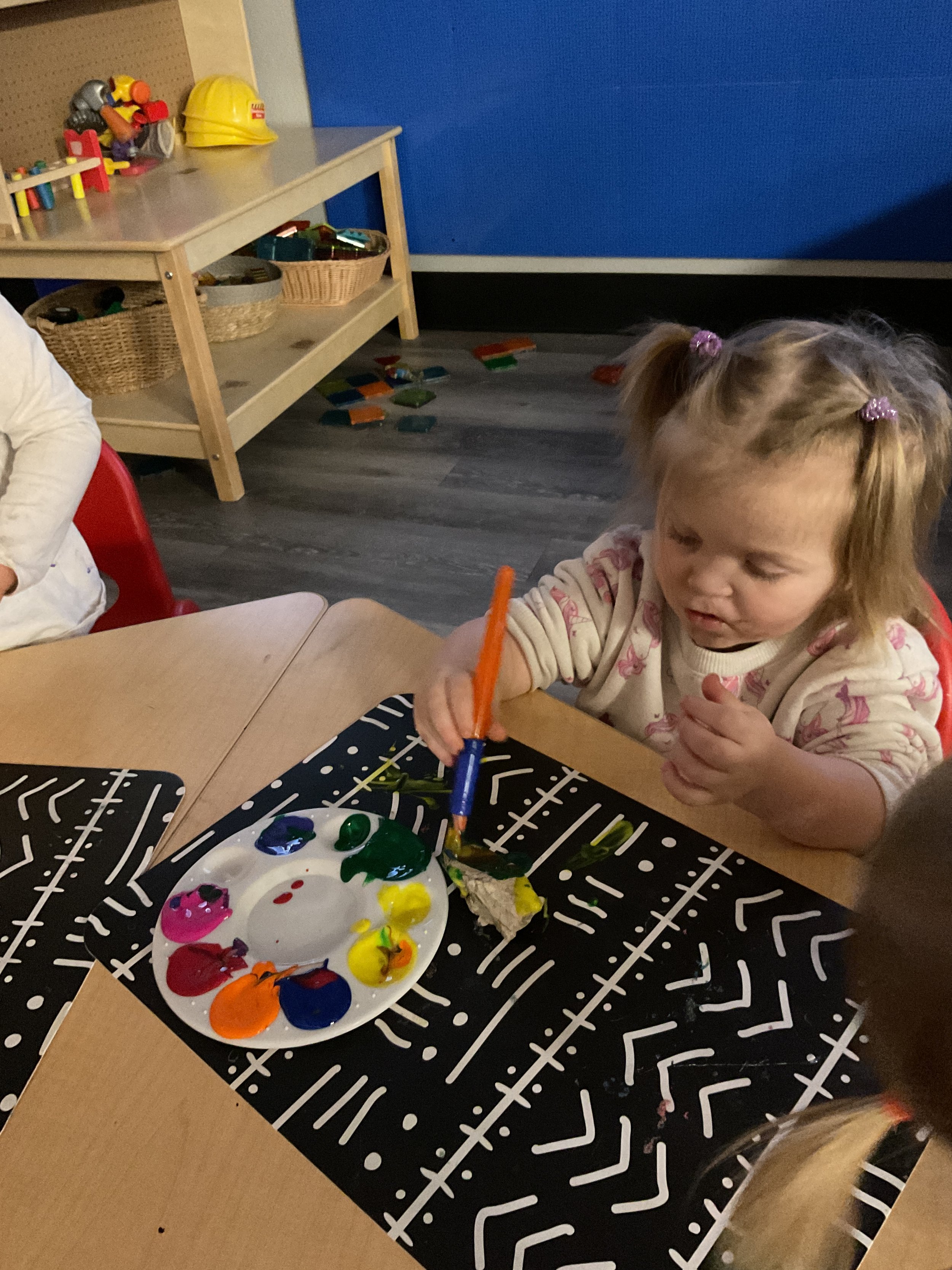 What Pets are at Your Home?