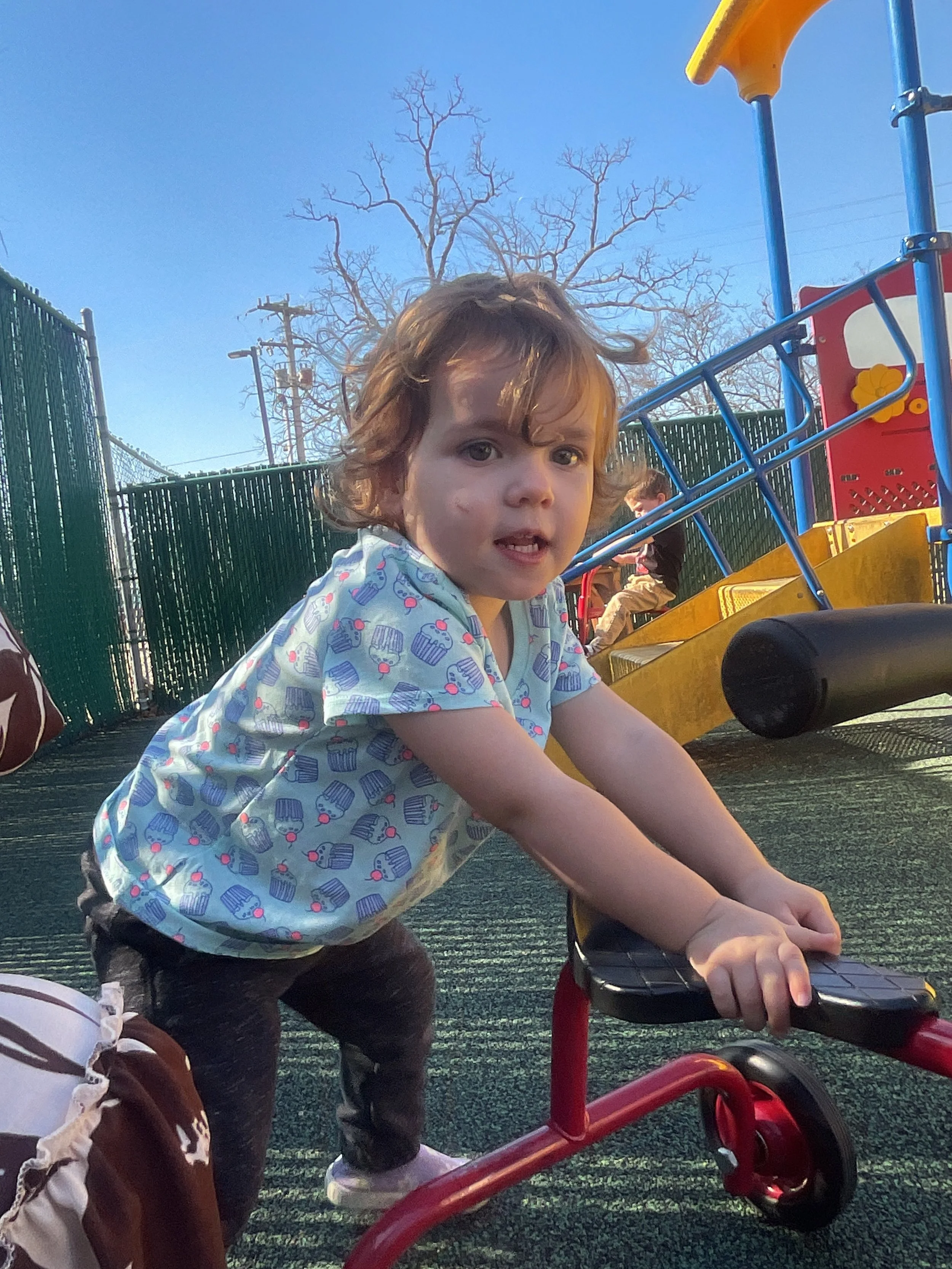 Trucks, Trucks, Trucks