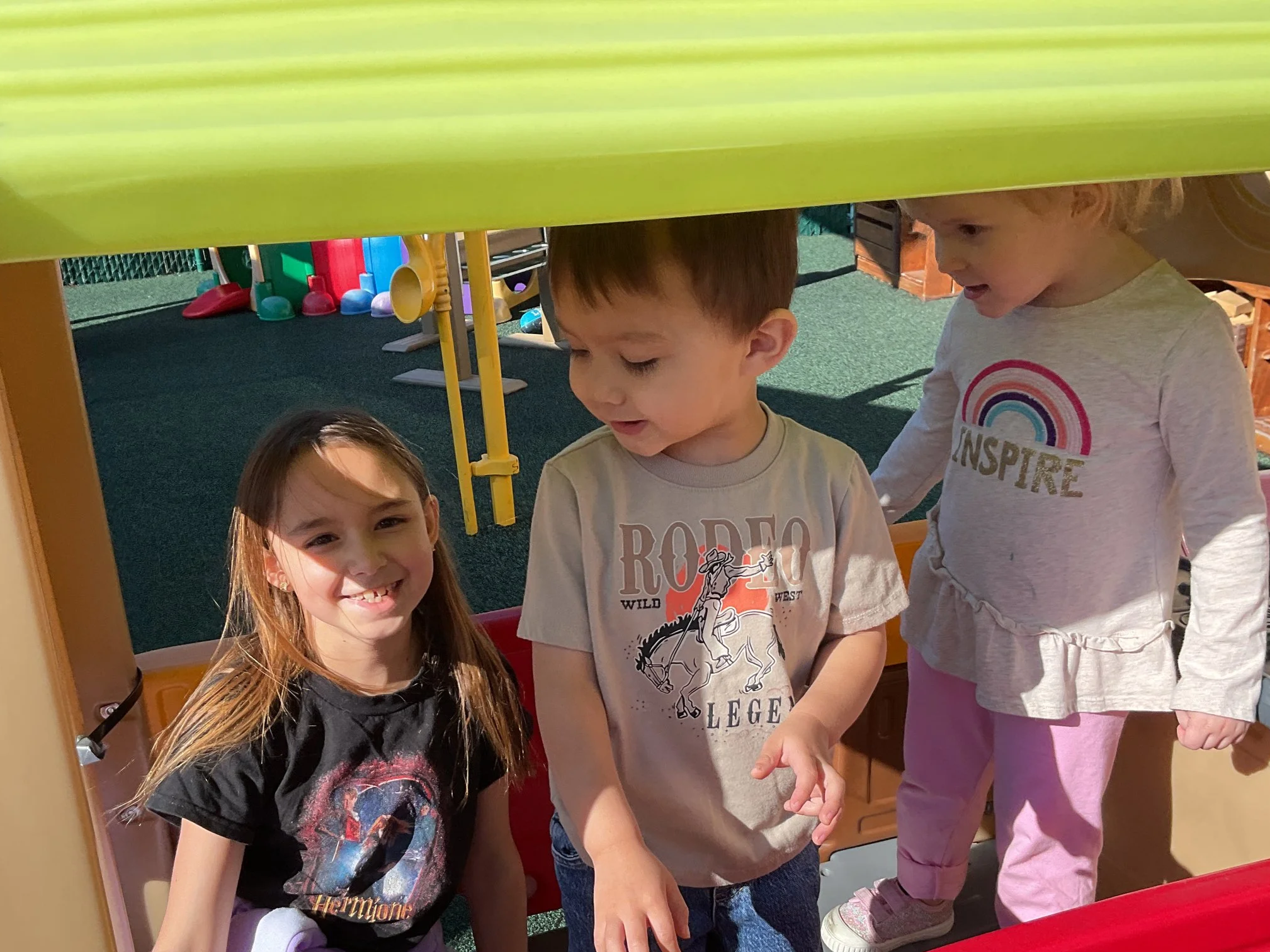 Bats are nocturnal animals!