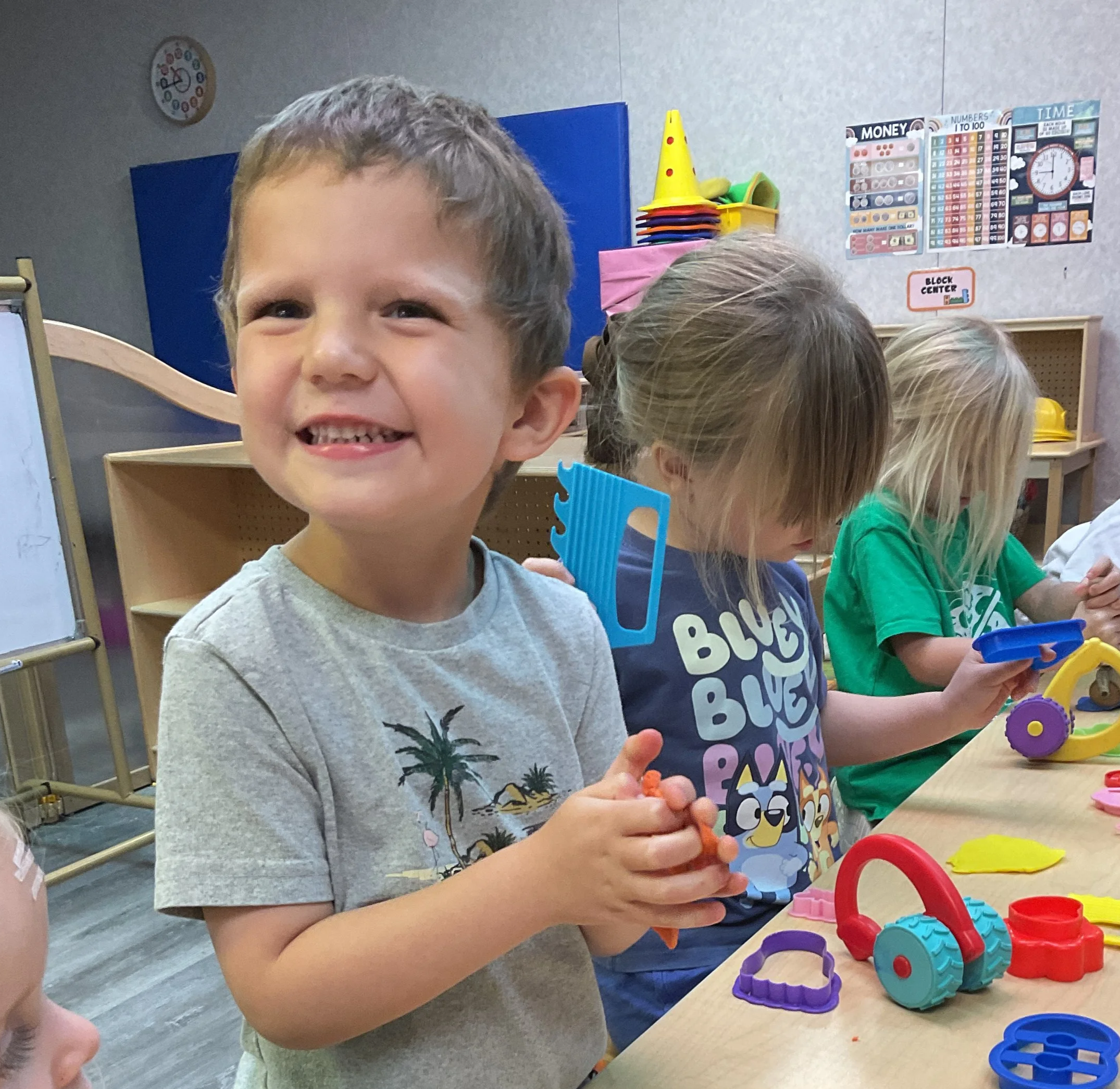 From Foxes to Owls: Exploring Forest Animals