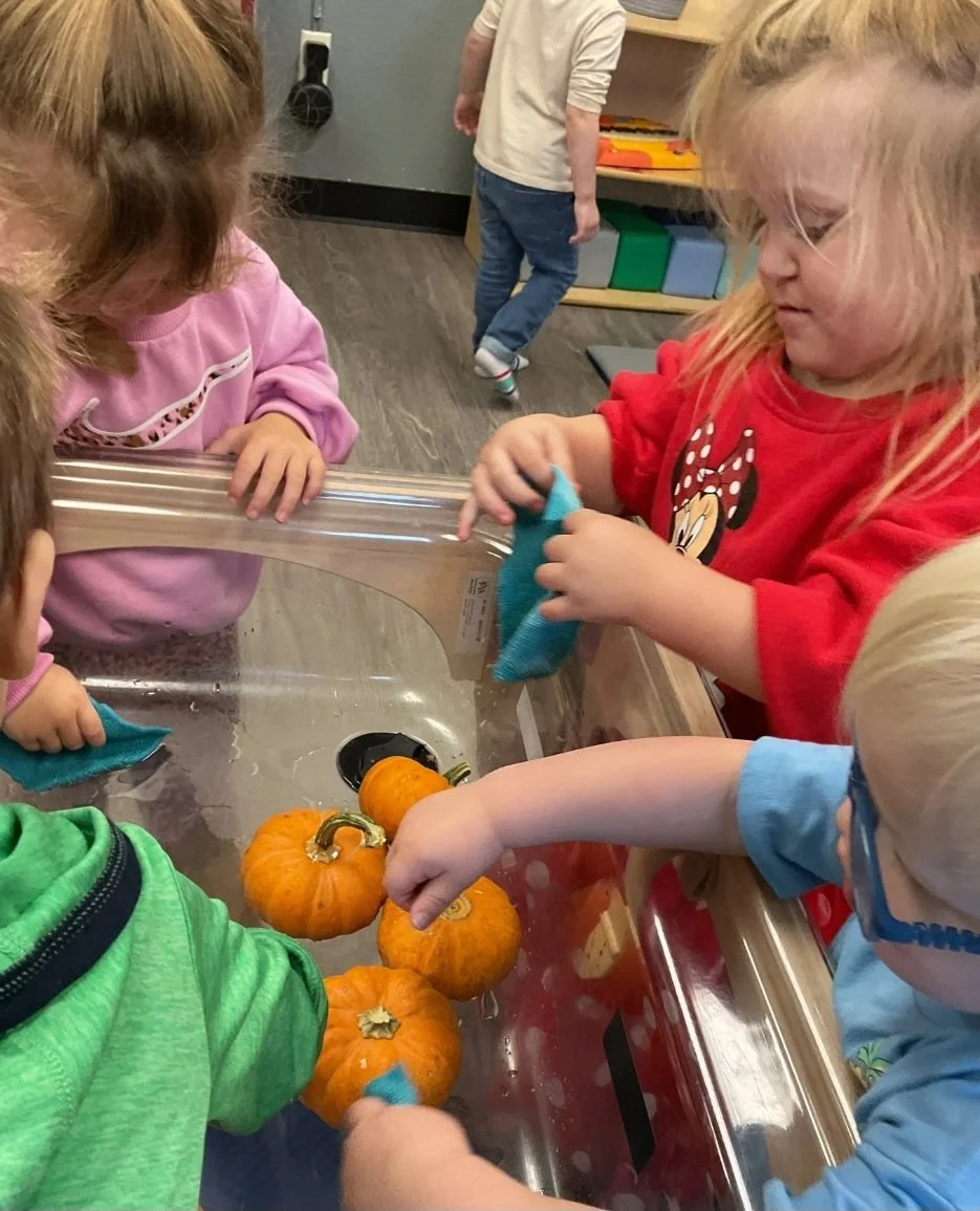 Oh My Gourd! It’s Pumpkin Time!