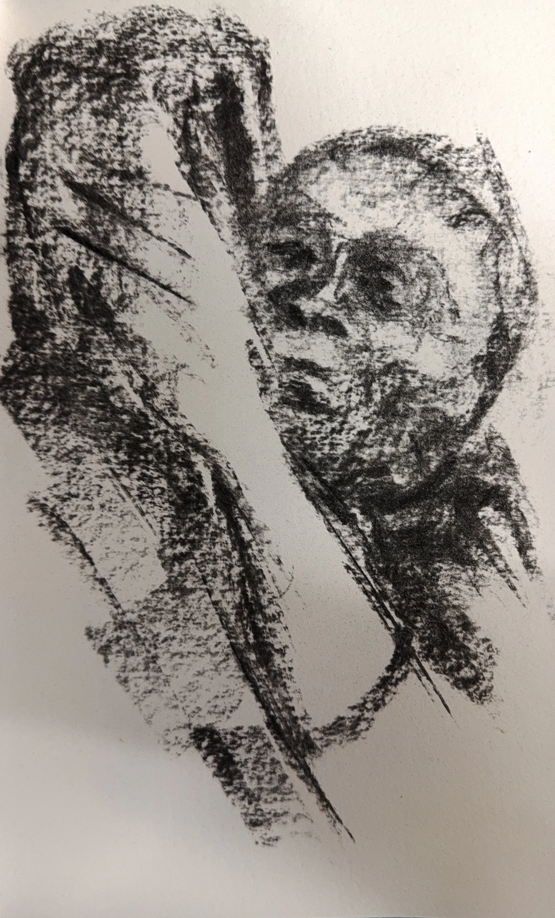After Kathe Kollwitz 1