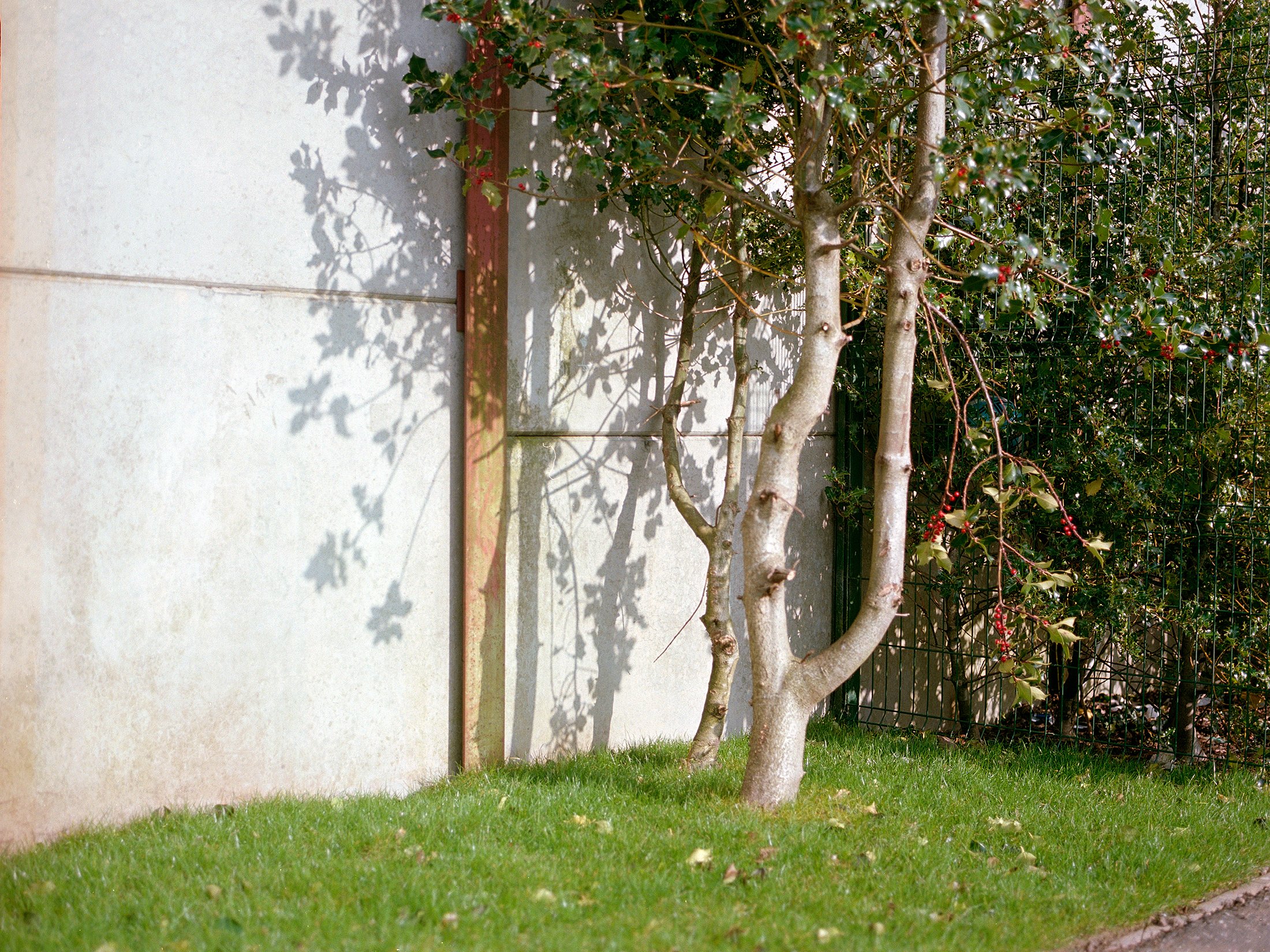 The Wall