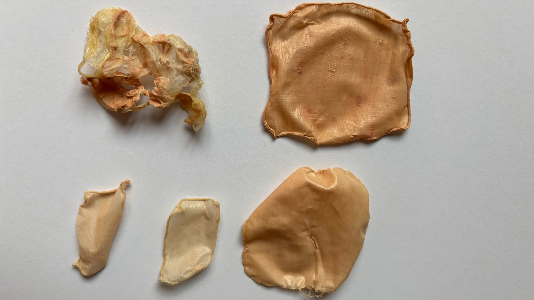 Liquid latex skin tests.