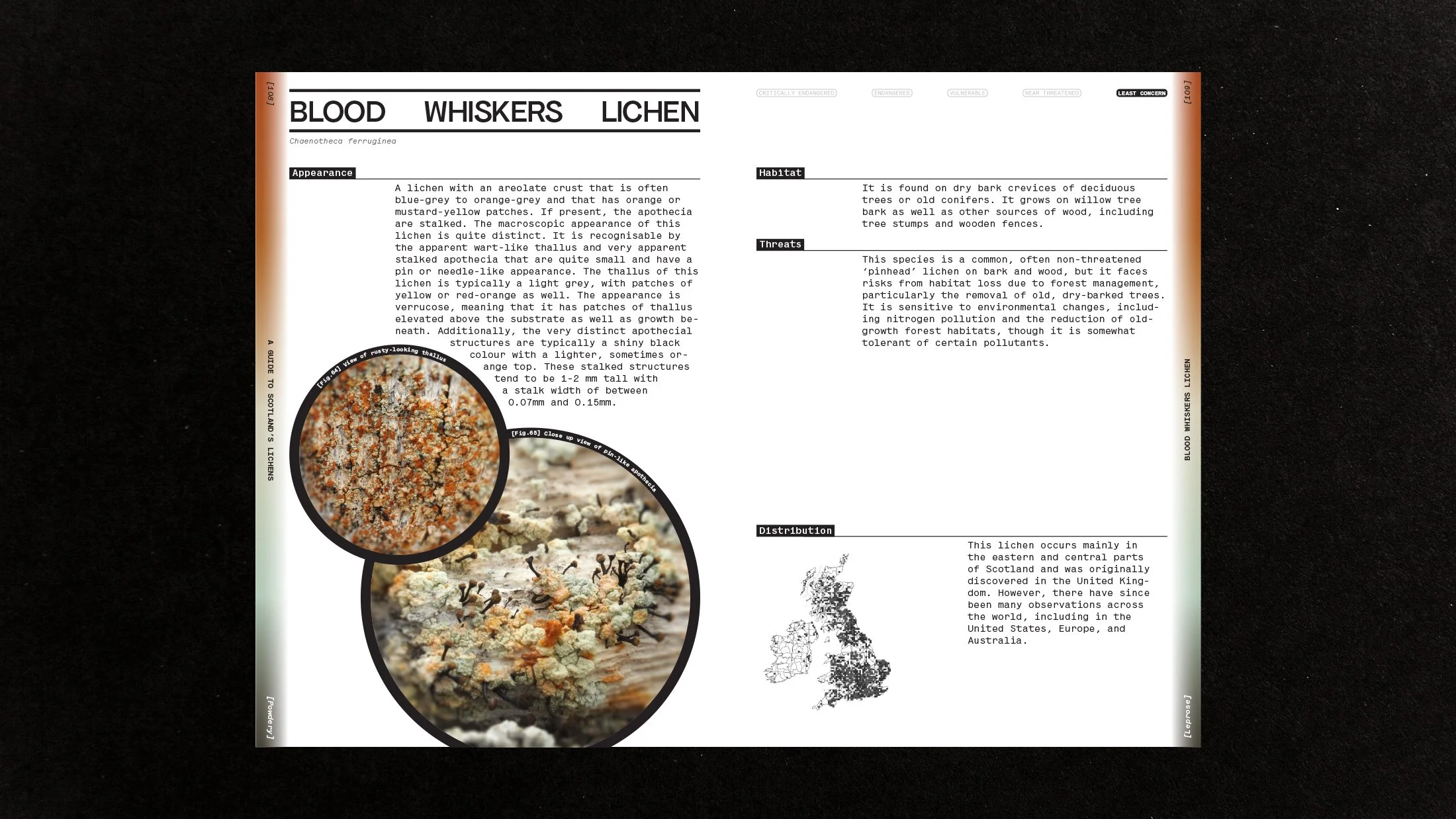 Blood Whiskers Lichen spread.