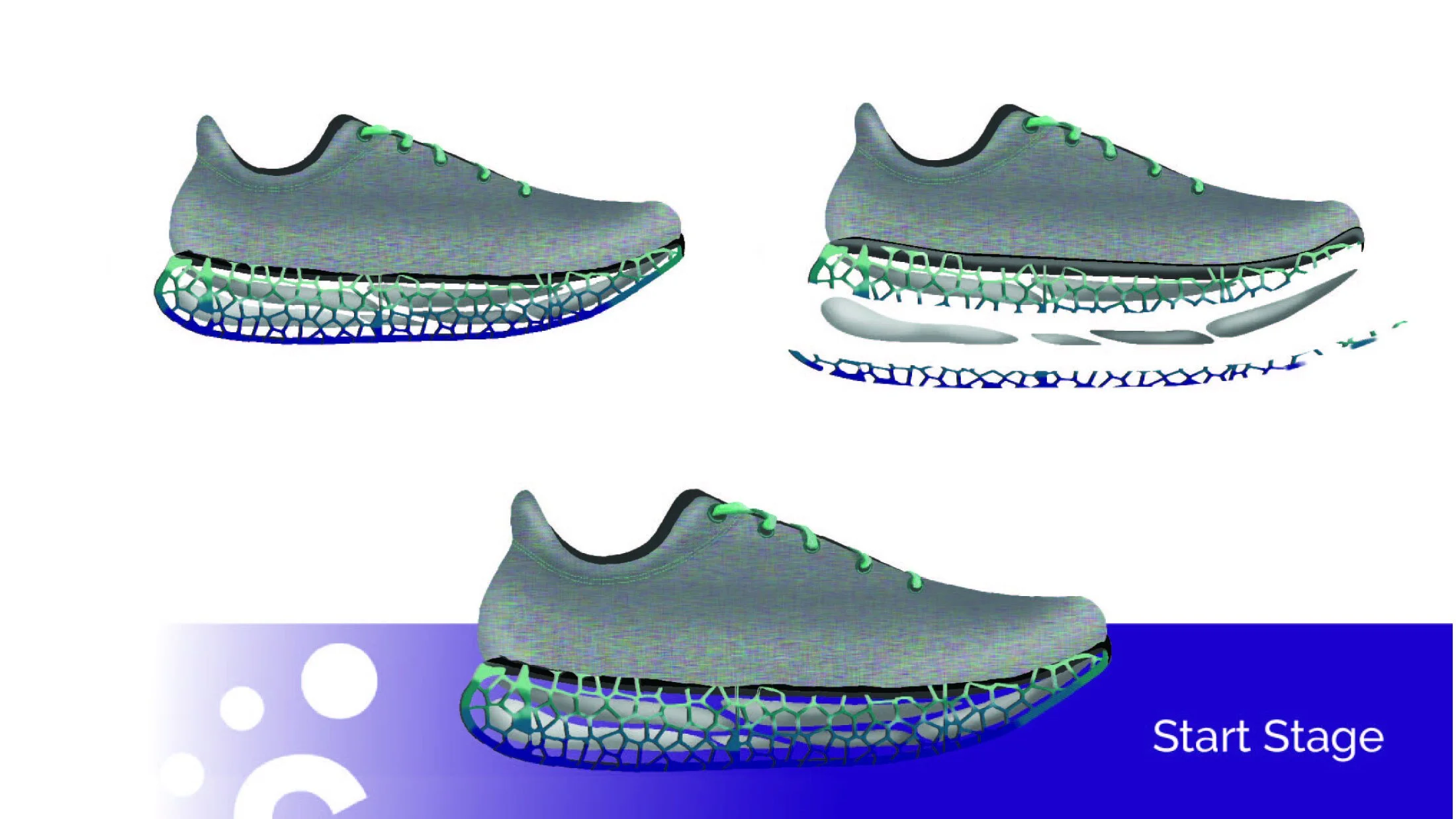 Through 36 weeks following the training program Sapiens provides you will transition into a minimalistic/barefoot stride.