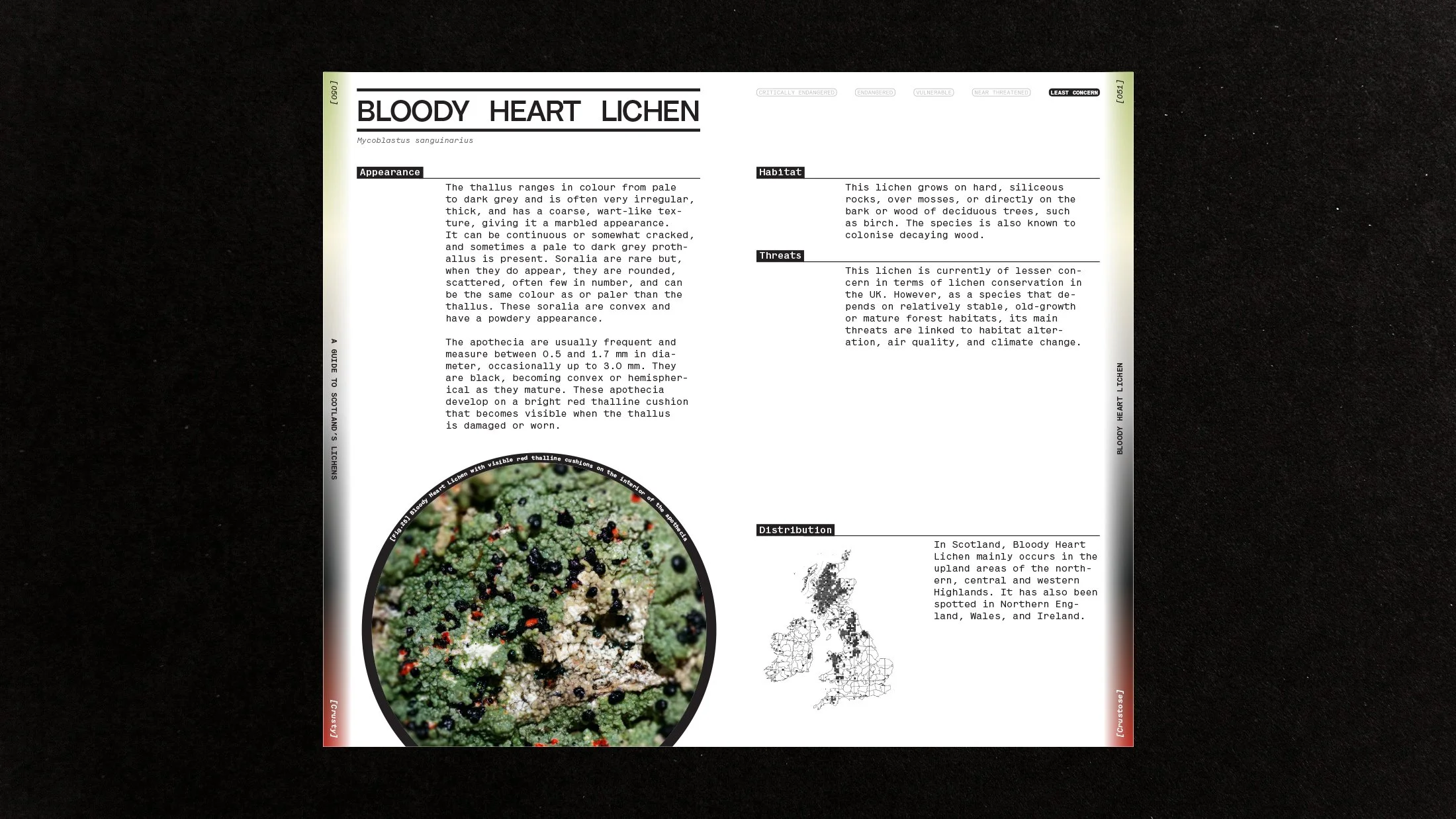 Bloody Heart Lichen spread.