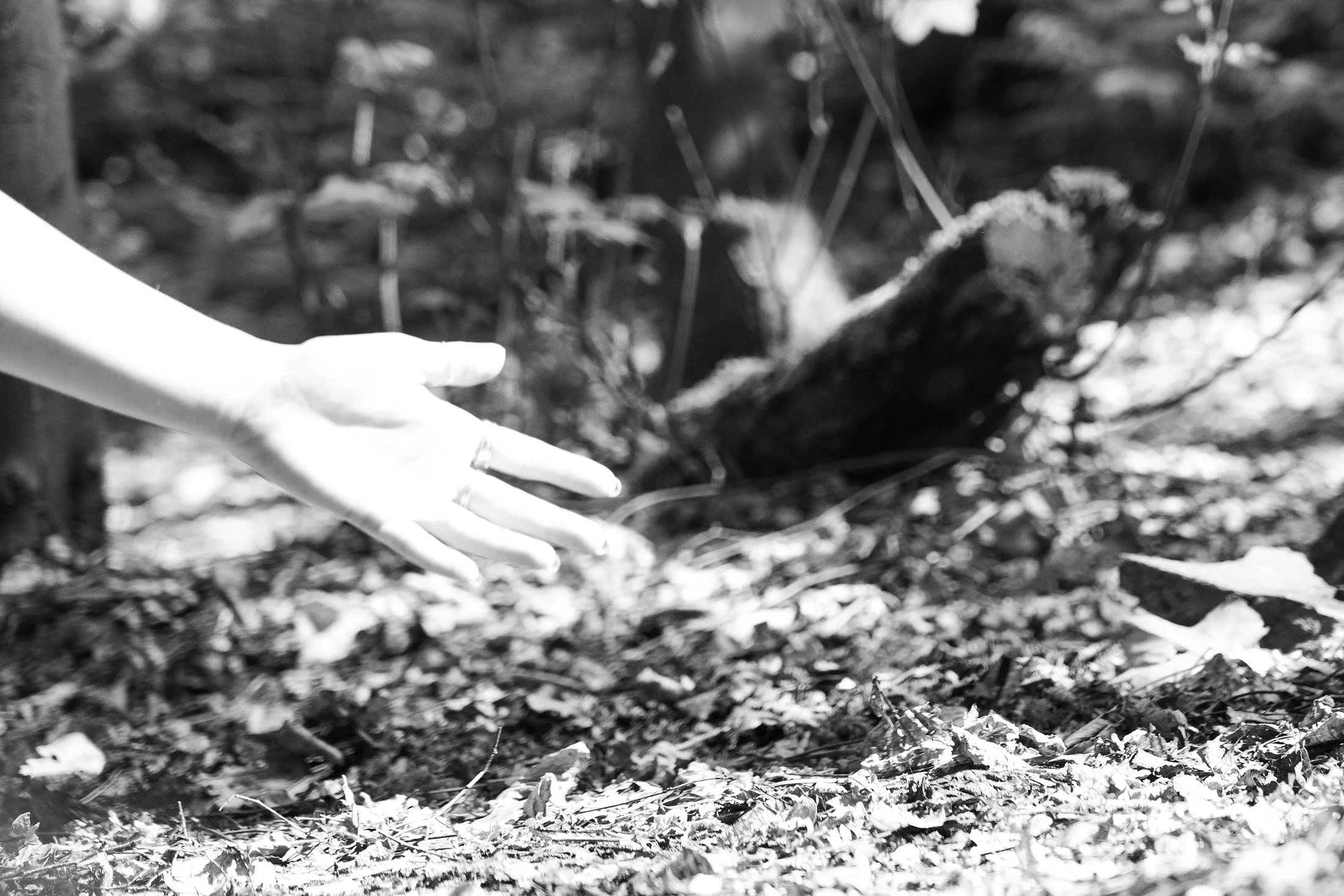 Reach