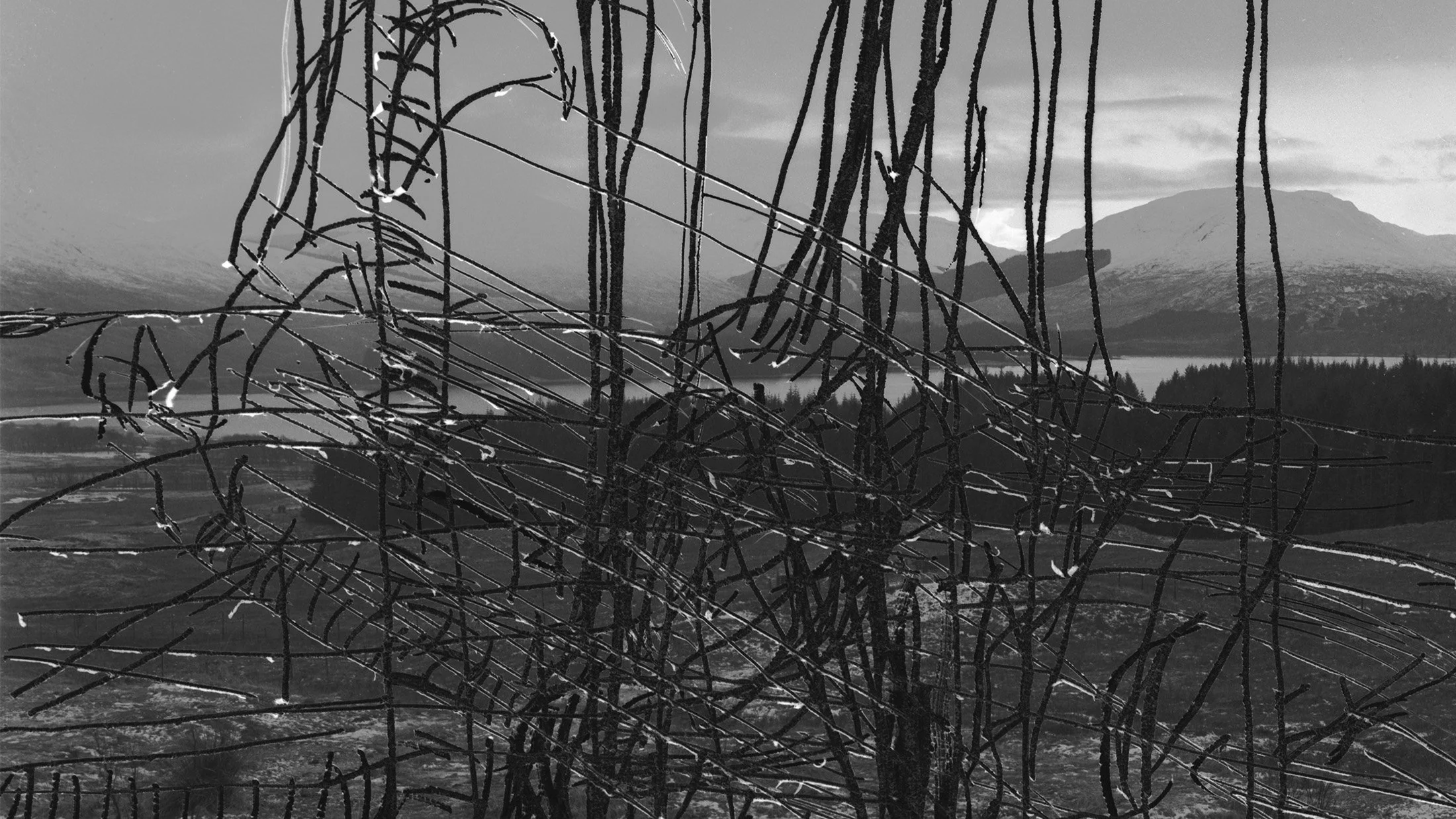 120mm digital scan. The negative has been scratched into showing multiple different outlines of the lawnmower. From triptych.