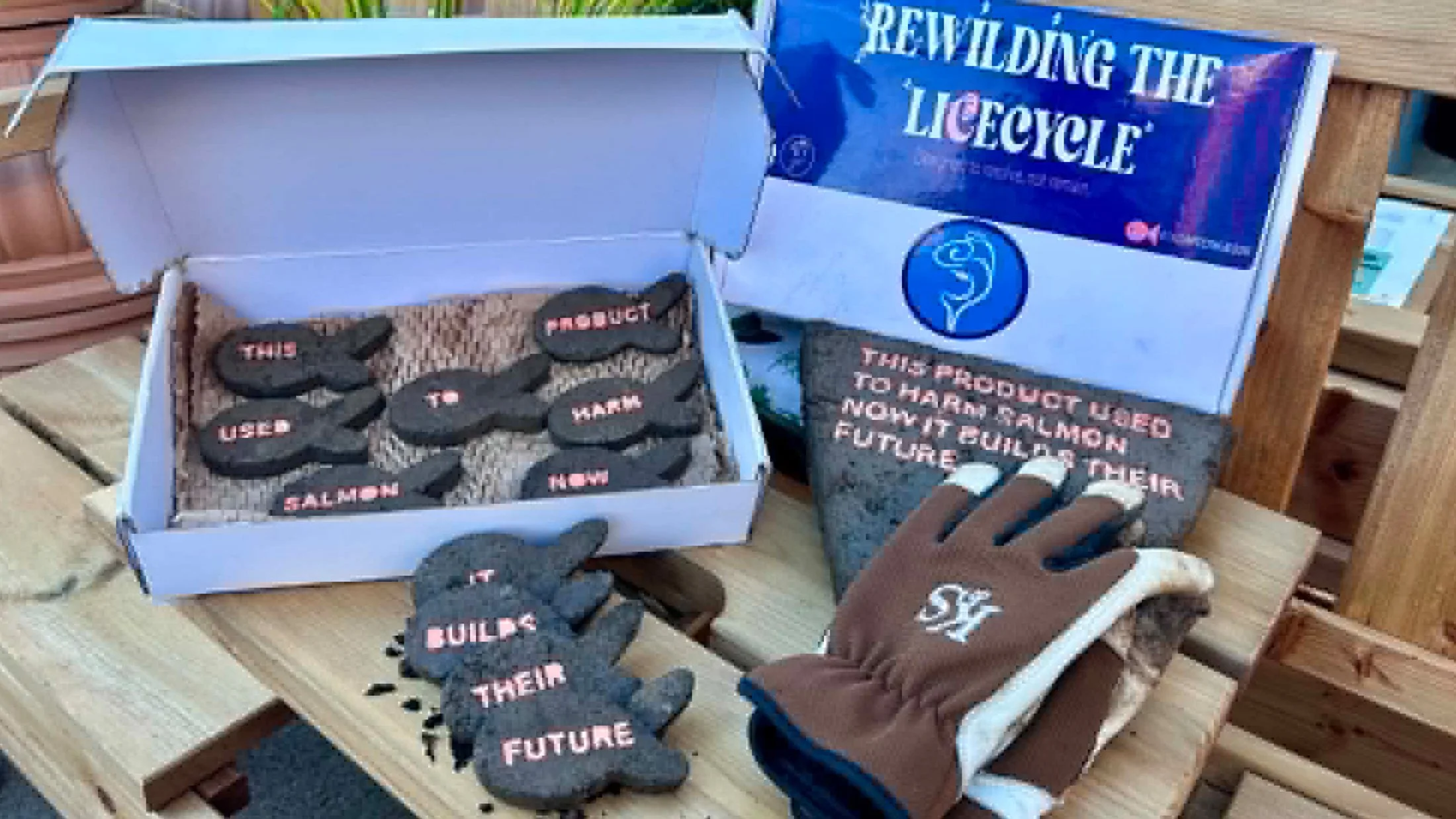 Final composting products displayed on a bench, highlighting material and form.
