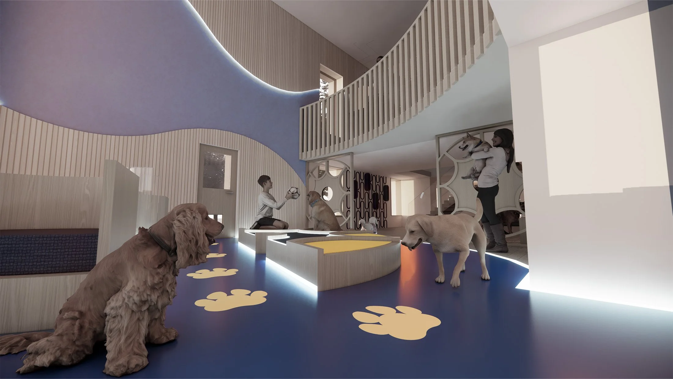 Visualisation of main activity space from dog POV