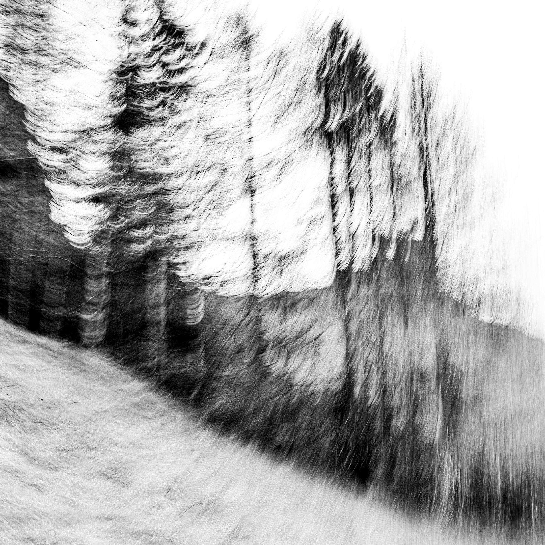 Disorientation