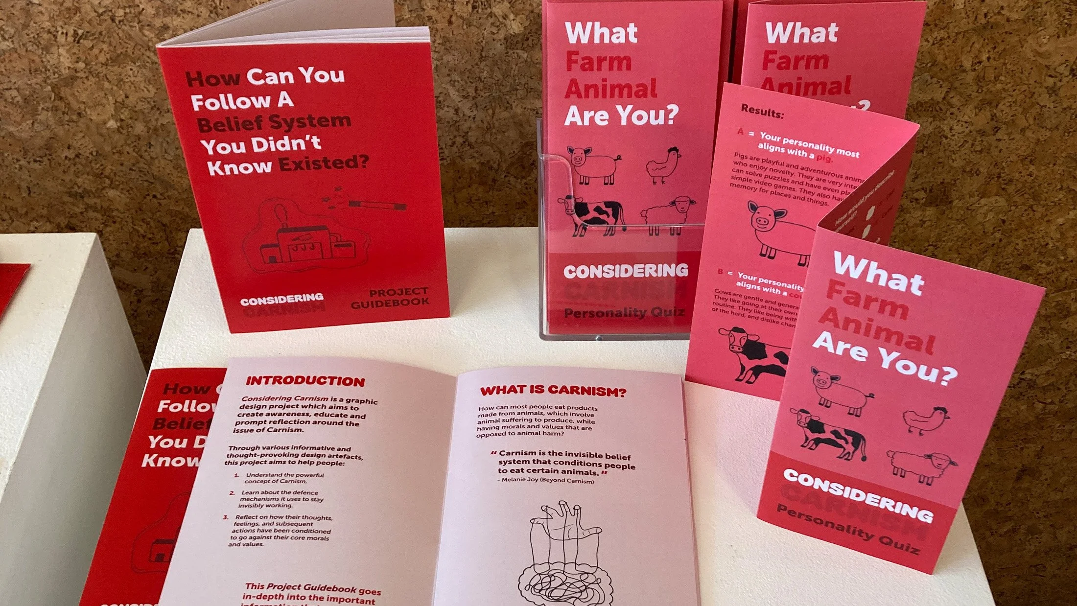 The project guidebook and personality quiz artefacts on display.