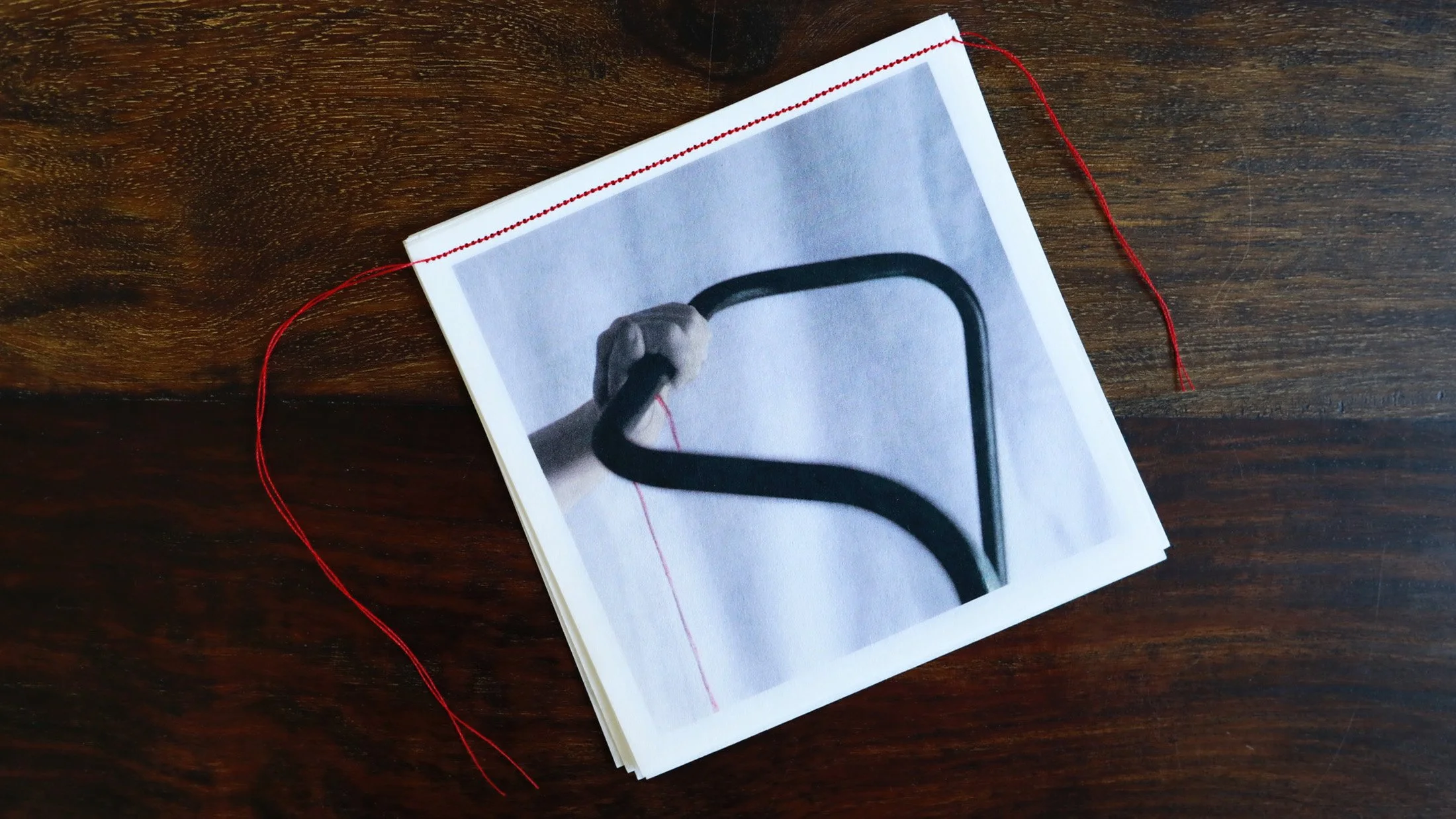 Rice paper book, reproductions of hand-coloured images.