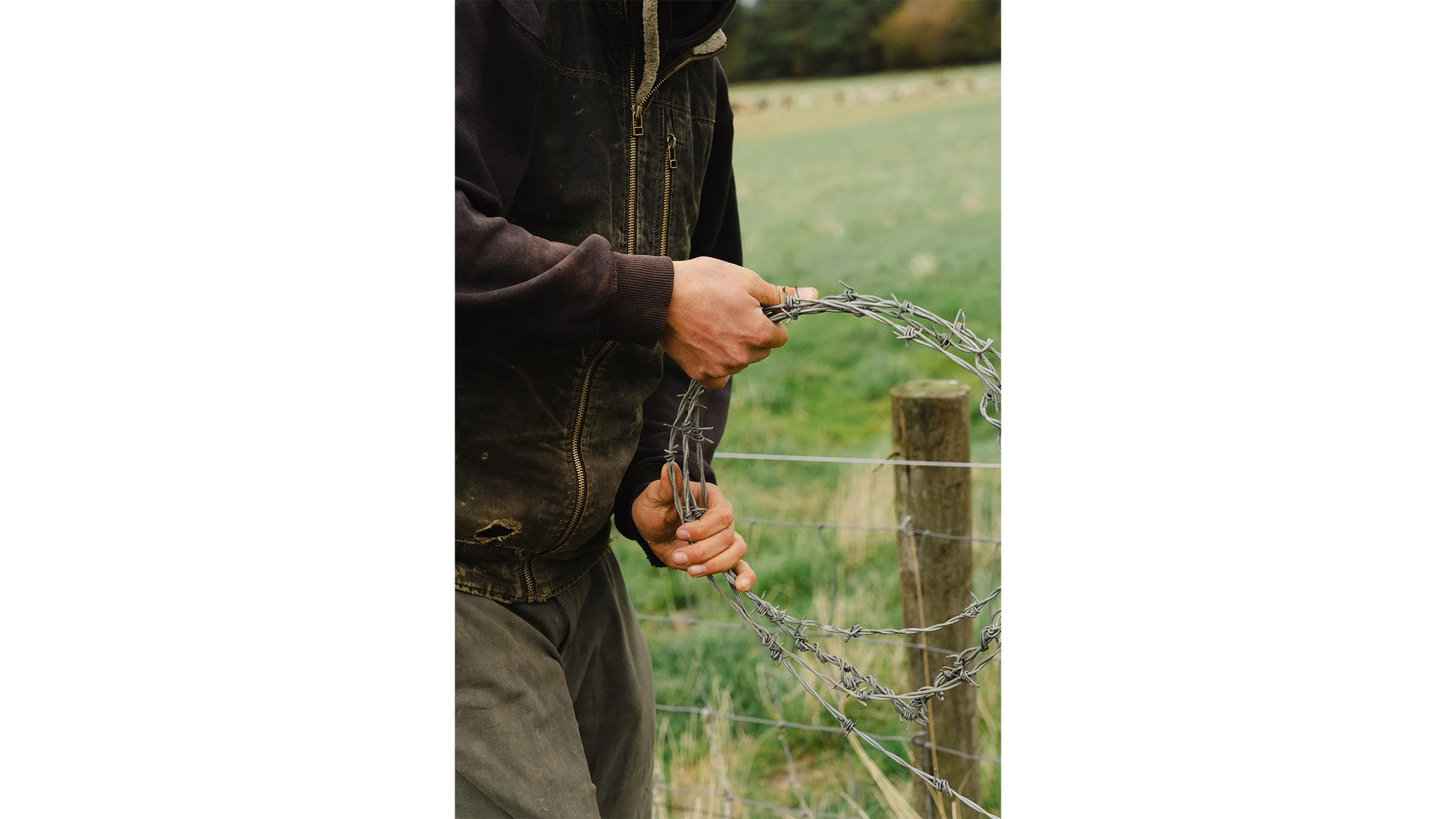 Invisible Fences.