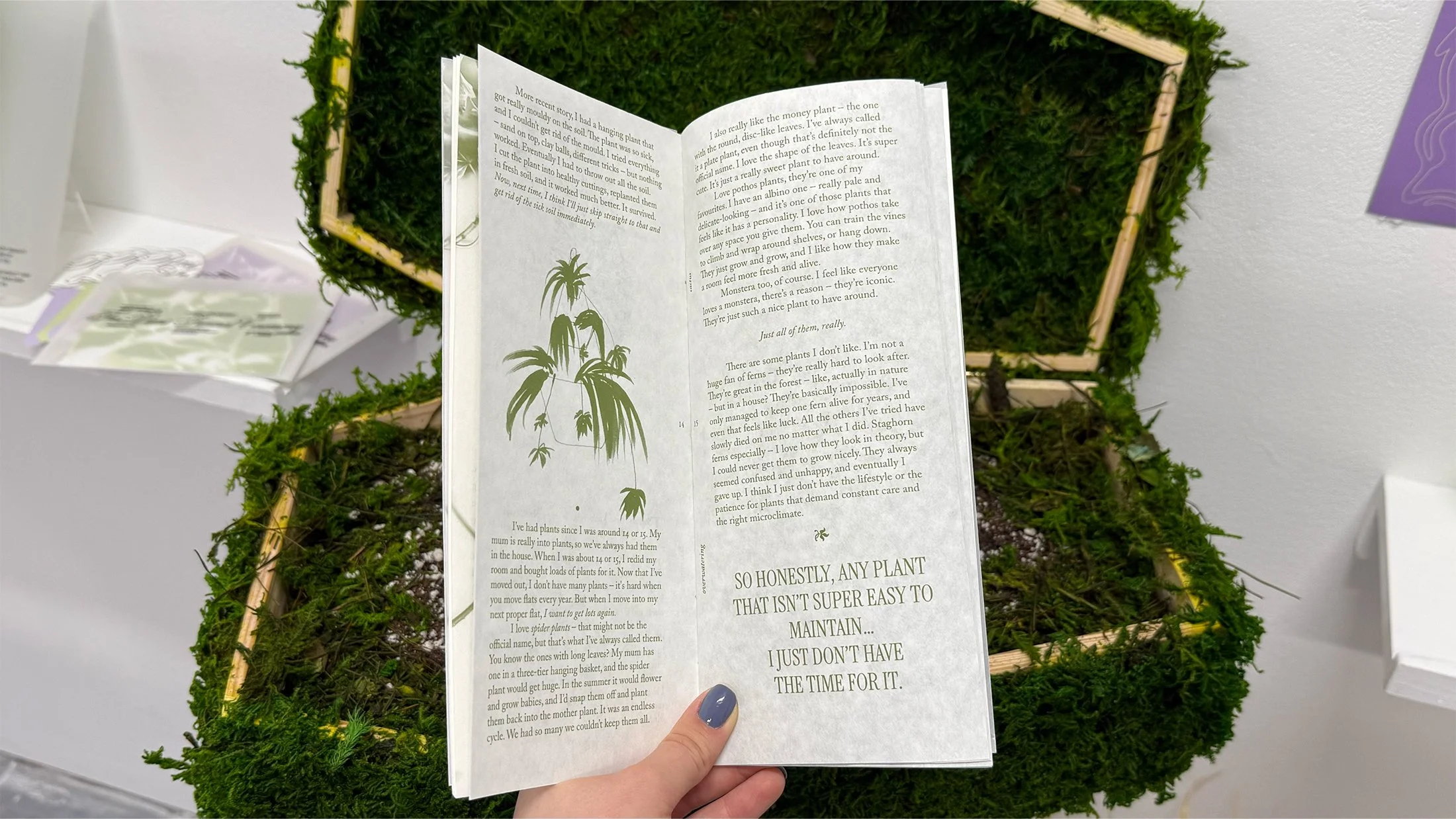 “Root in Peace” publication.
Includes causes of death, plant killer stories and a foliage farewell.