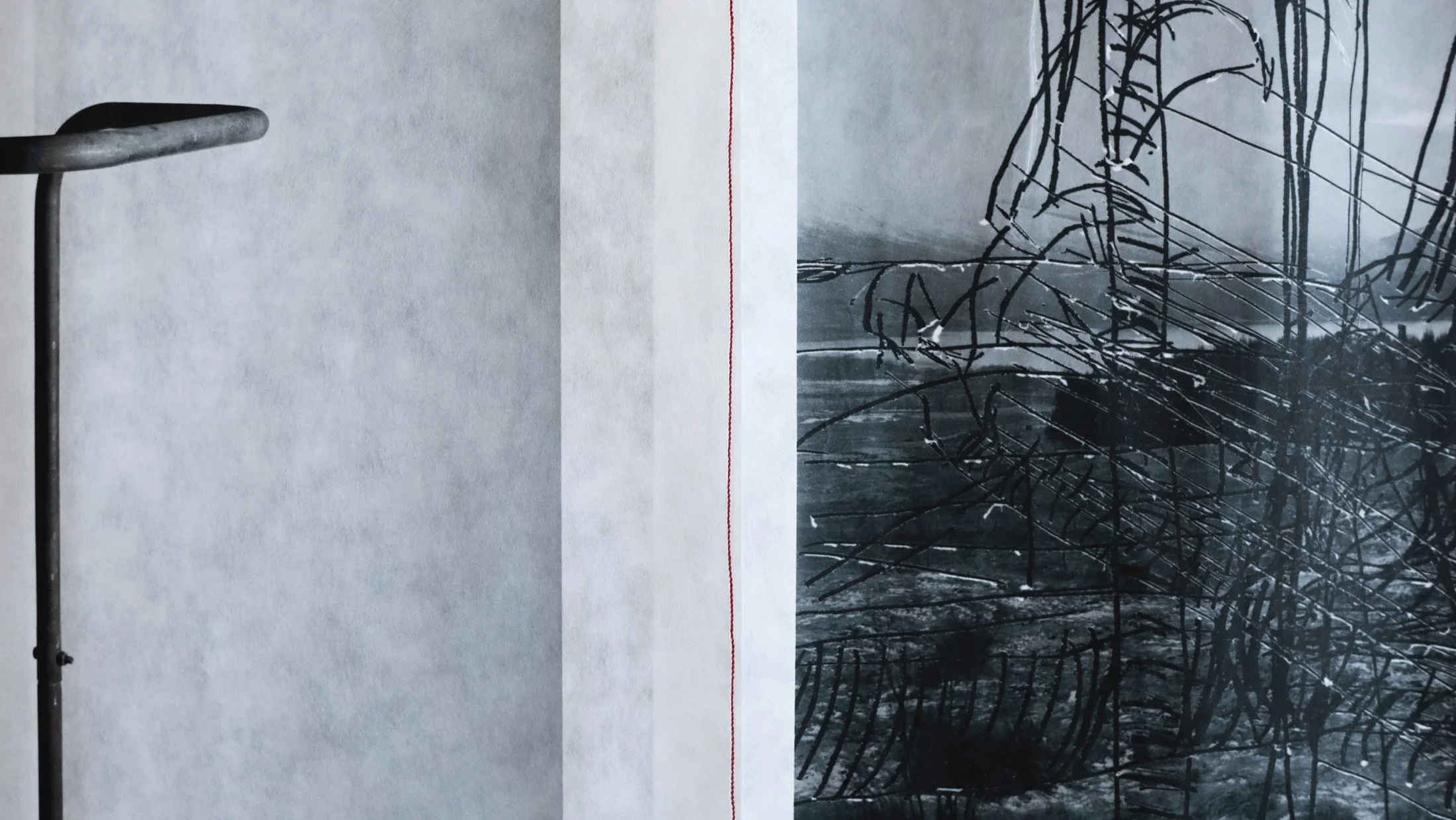 Sewn together rice paper print of 120mm digital scan. From triptych.