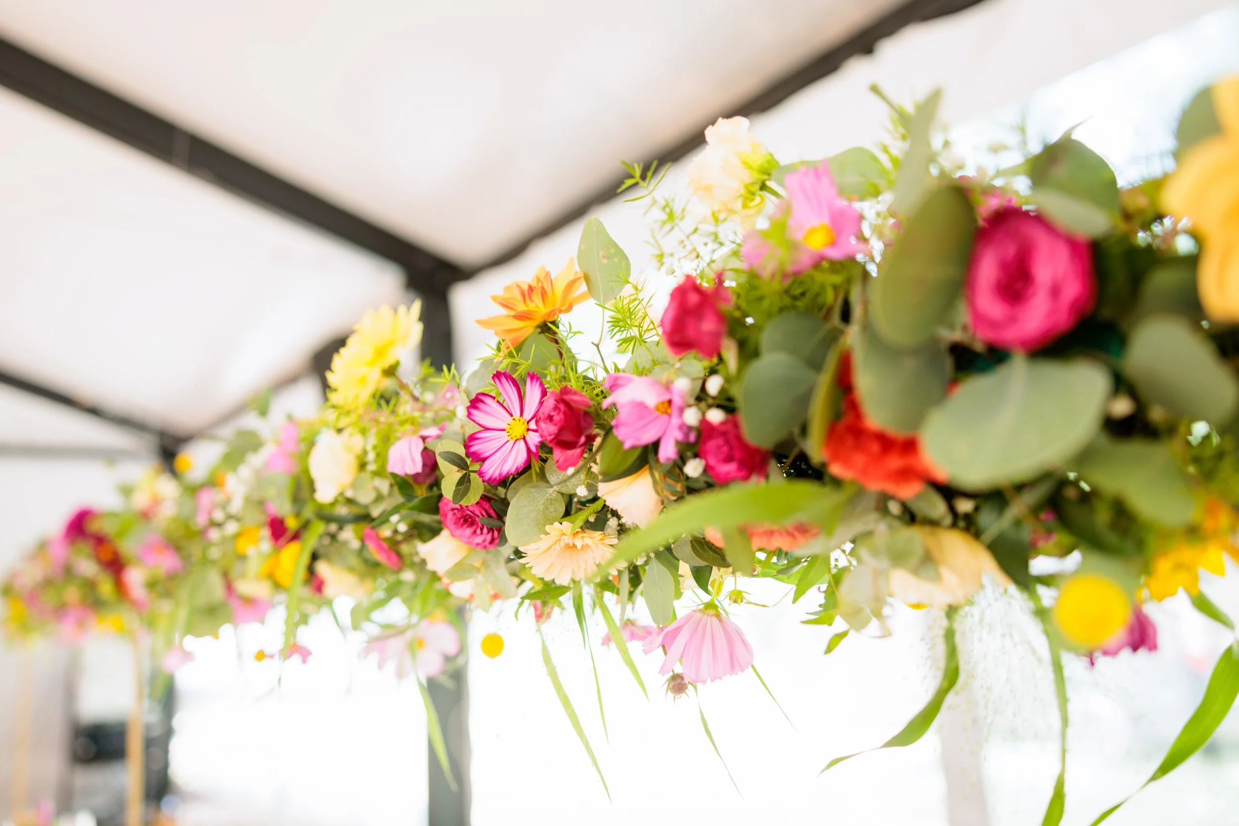 La Guyomarais-47.jpg