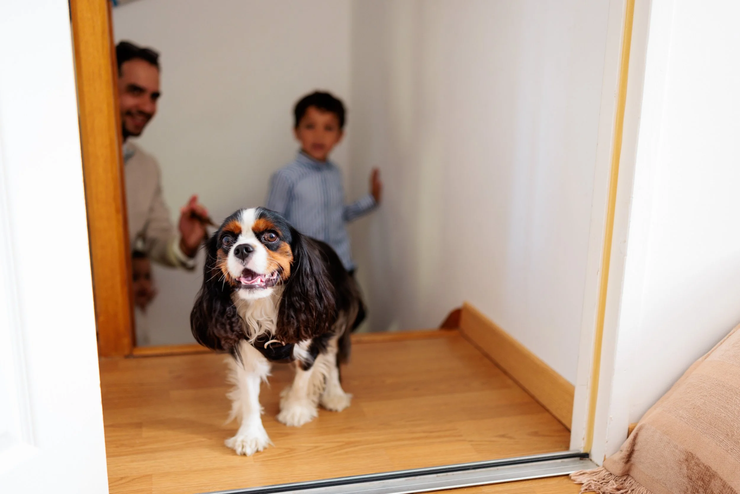 Chateau de Beaussais - KP-35.jpg