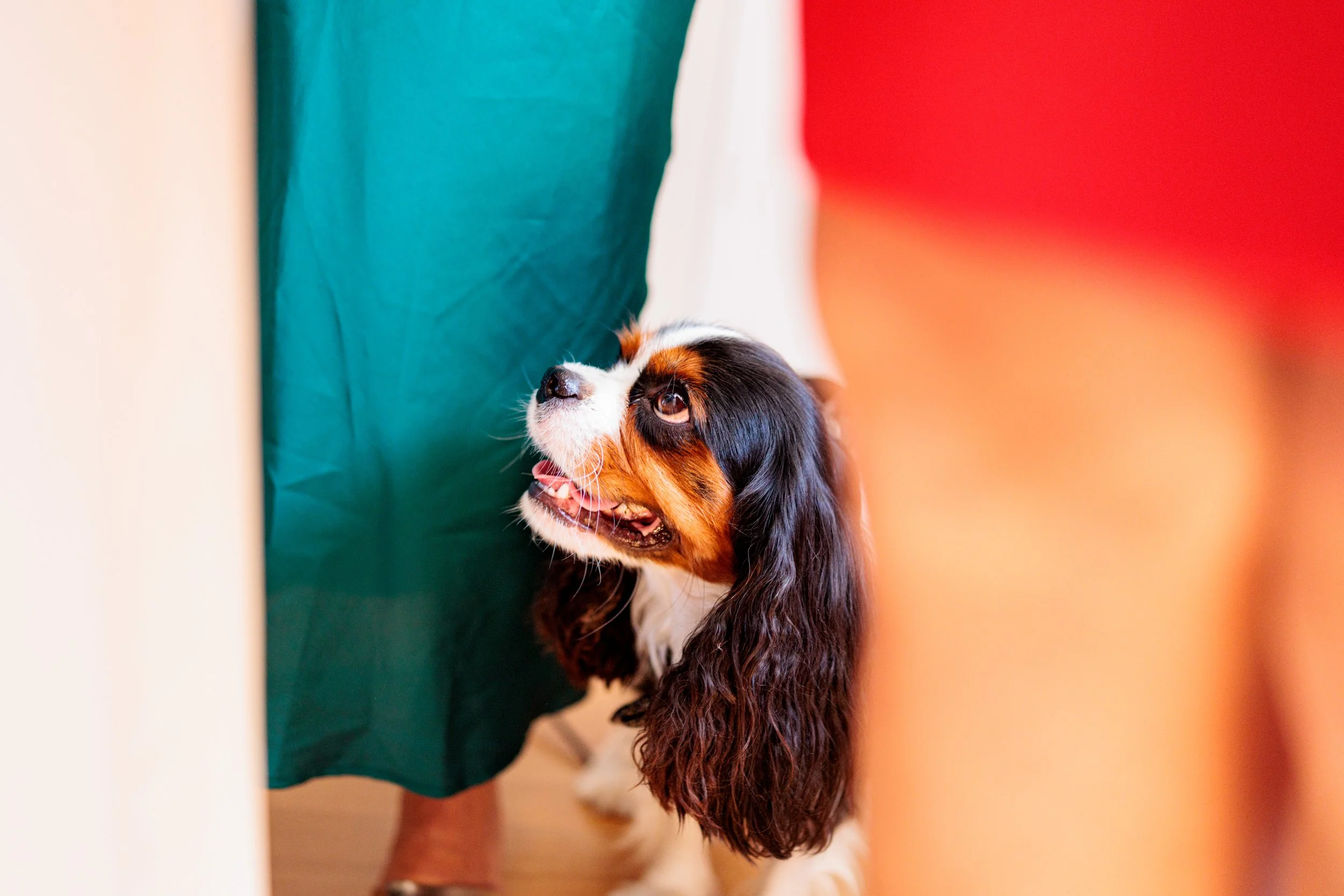 Chateau de Beaussais - KP-38.jpg