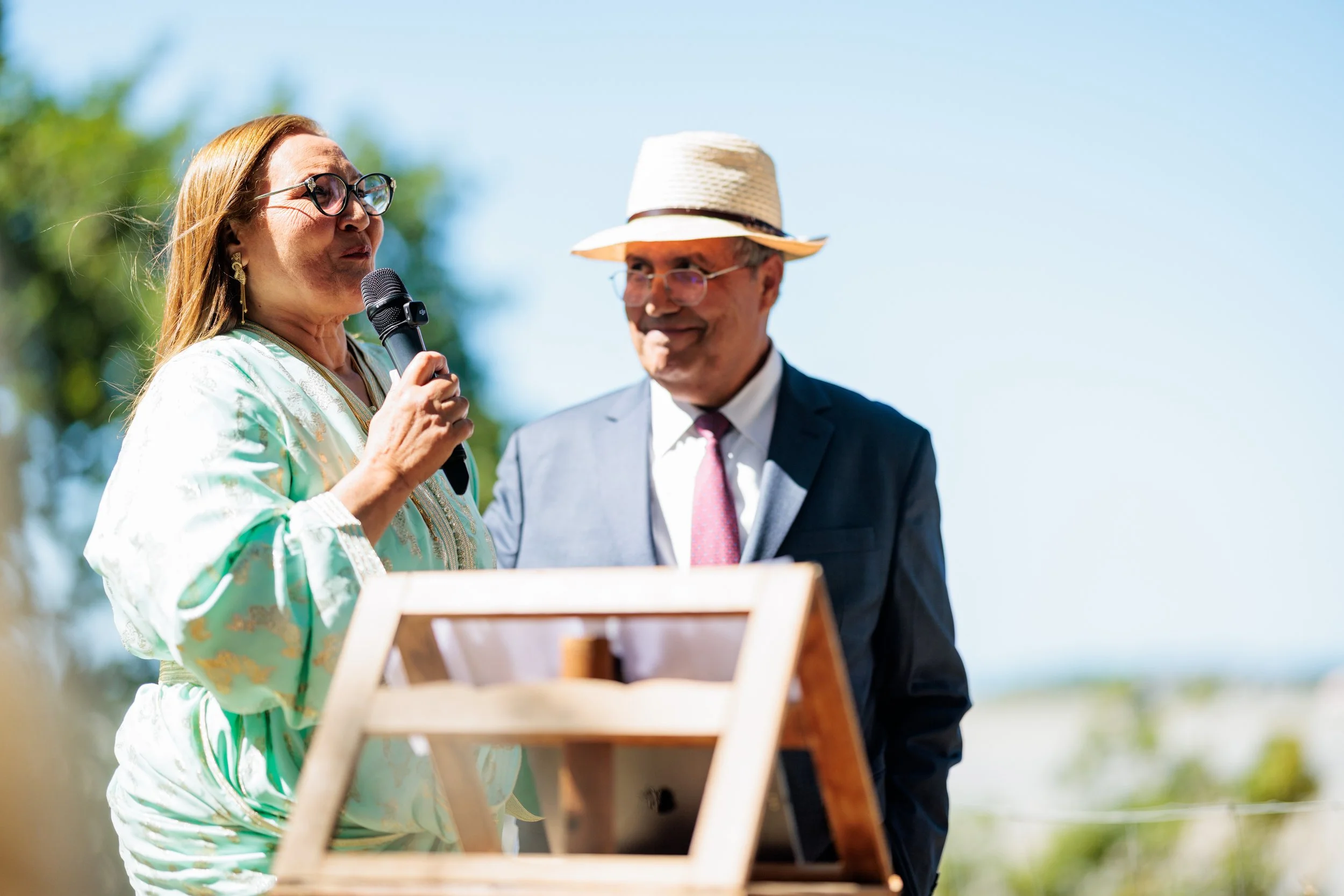 Chateau de Beaussais - KP-66.jpg