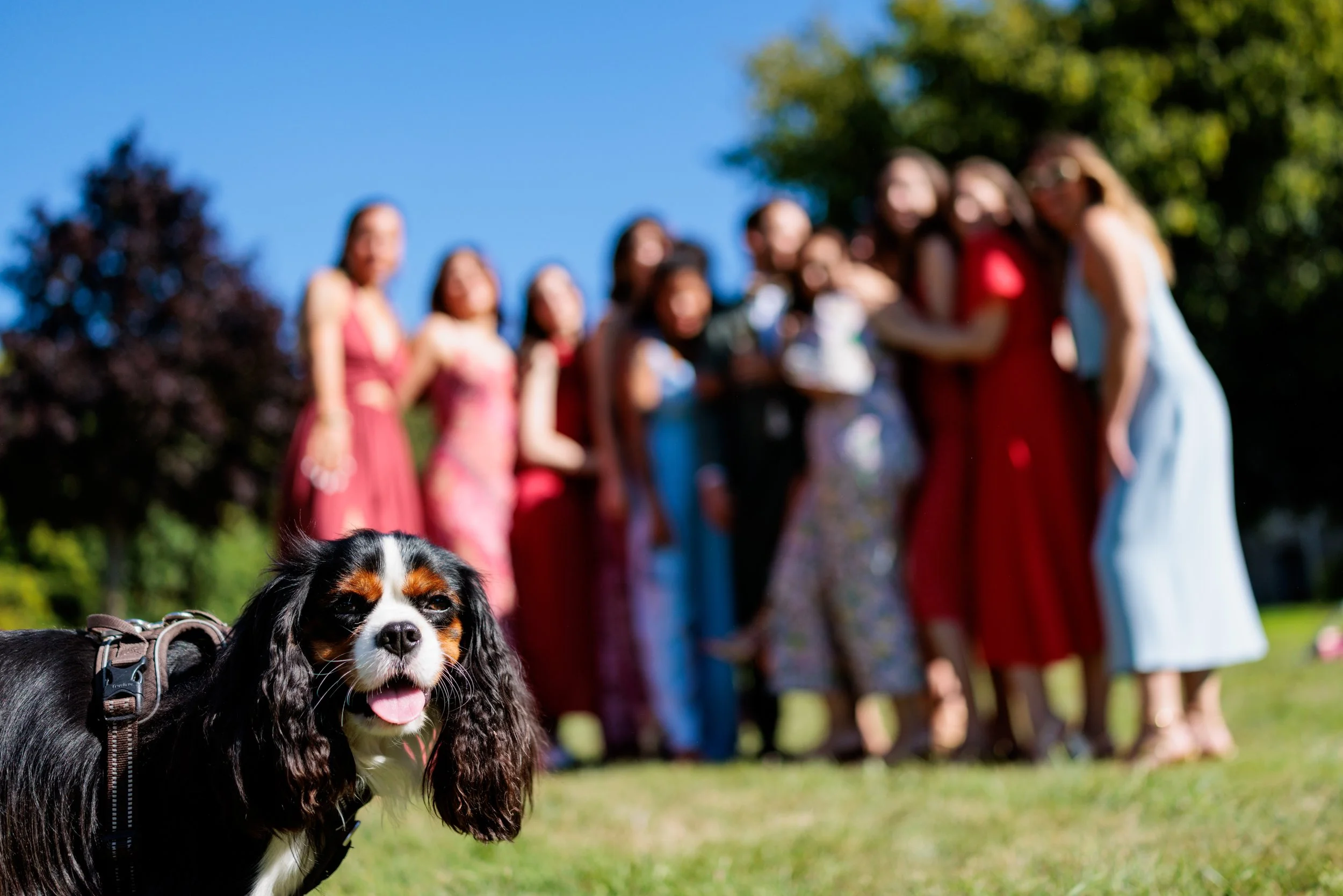 Chateau de Beaussais - KP-101.jpg