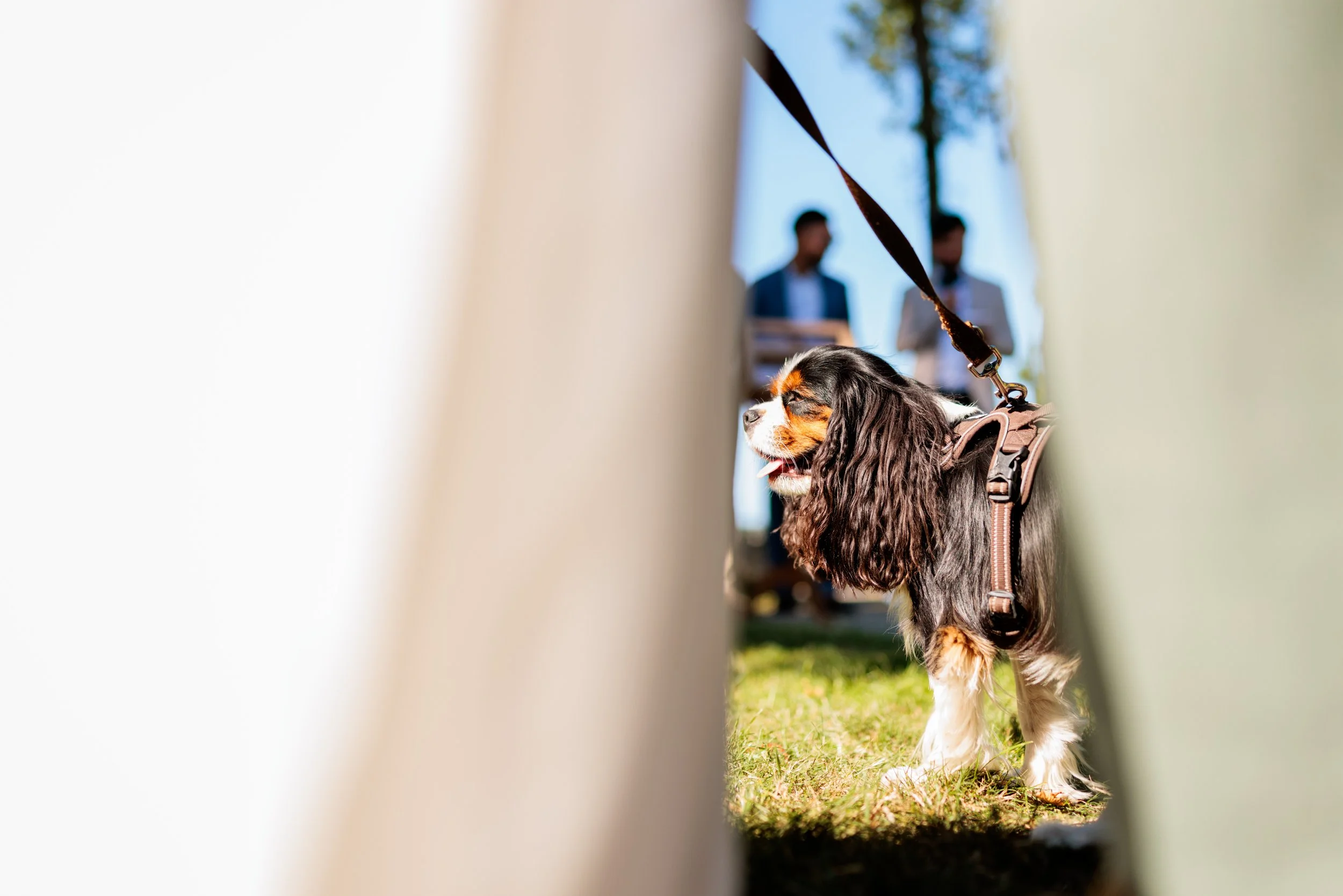 Chateau de Beaussais - KP-104.jpg