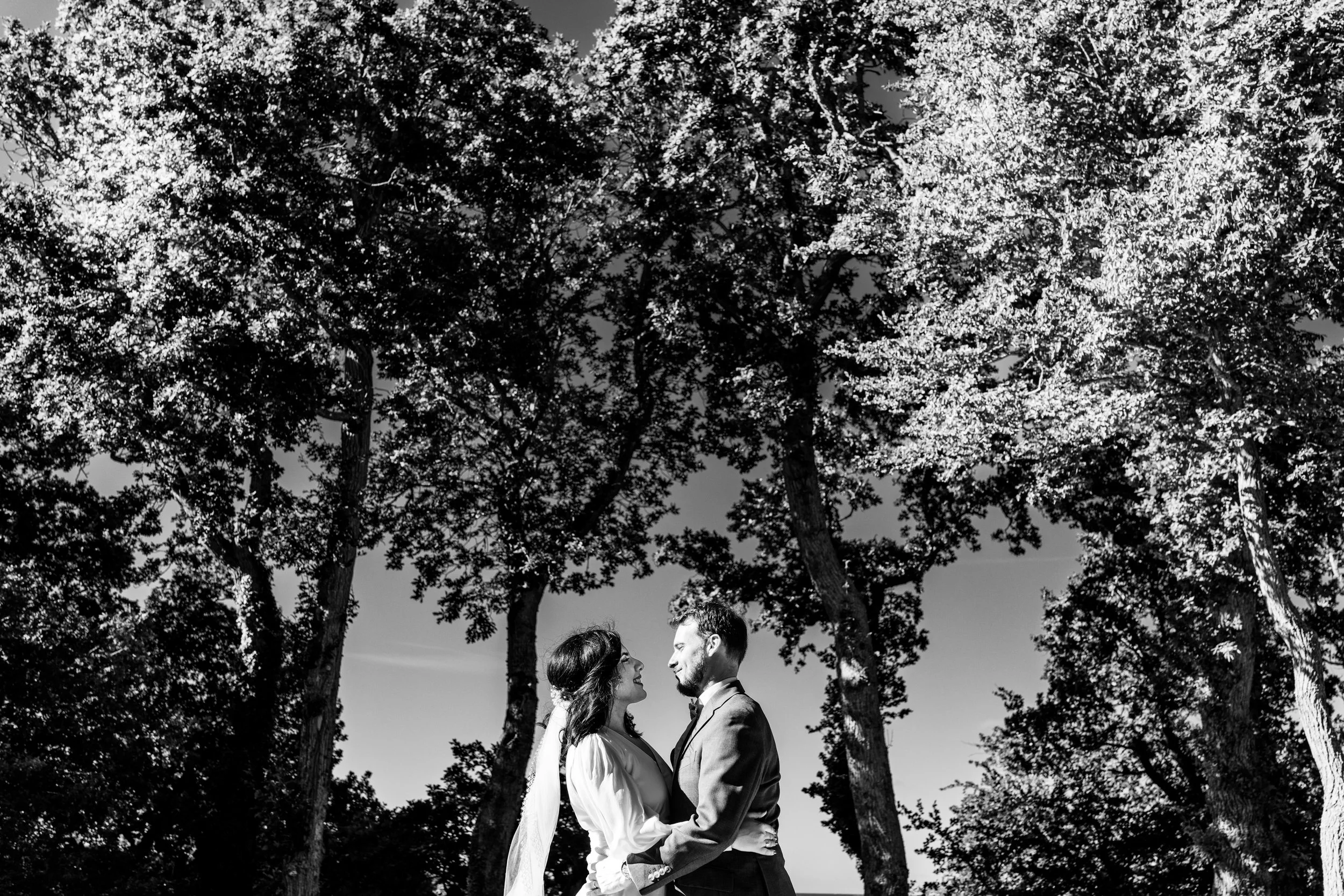 Chateau de Beaussais - KP-119.jpg