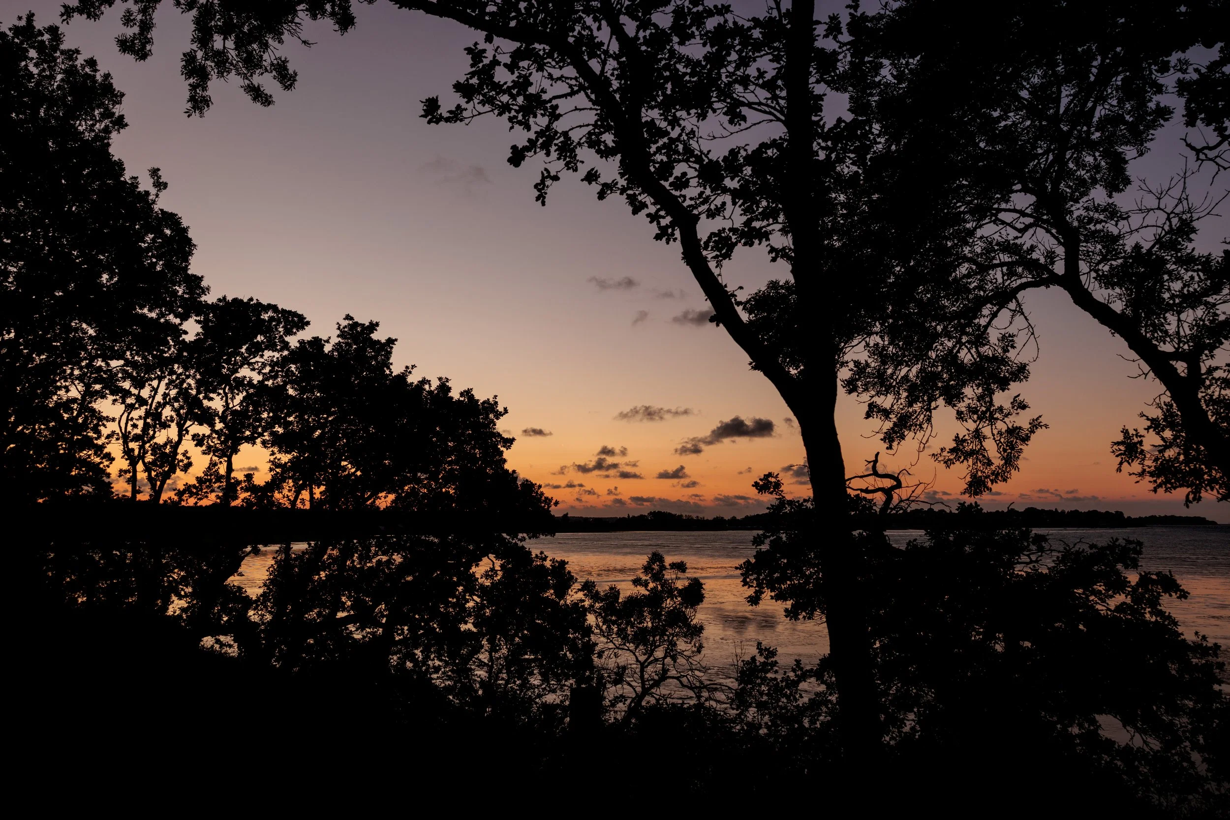 Chateau de Beaussais - KP-170.jpg