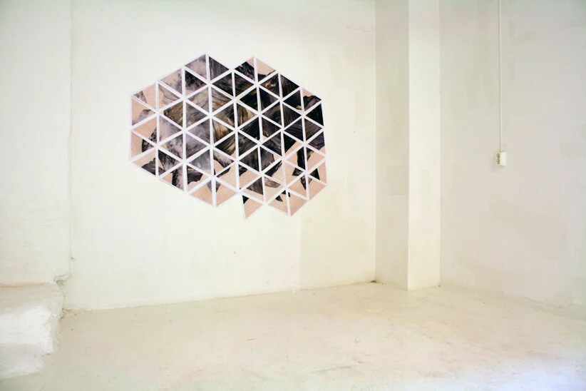  Fredrikke (2008)