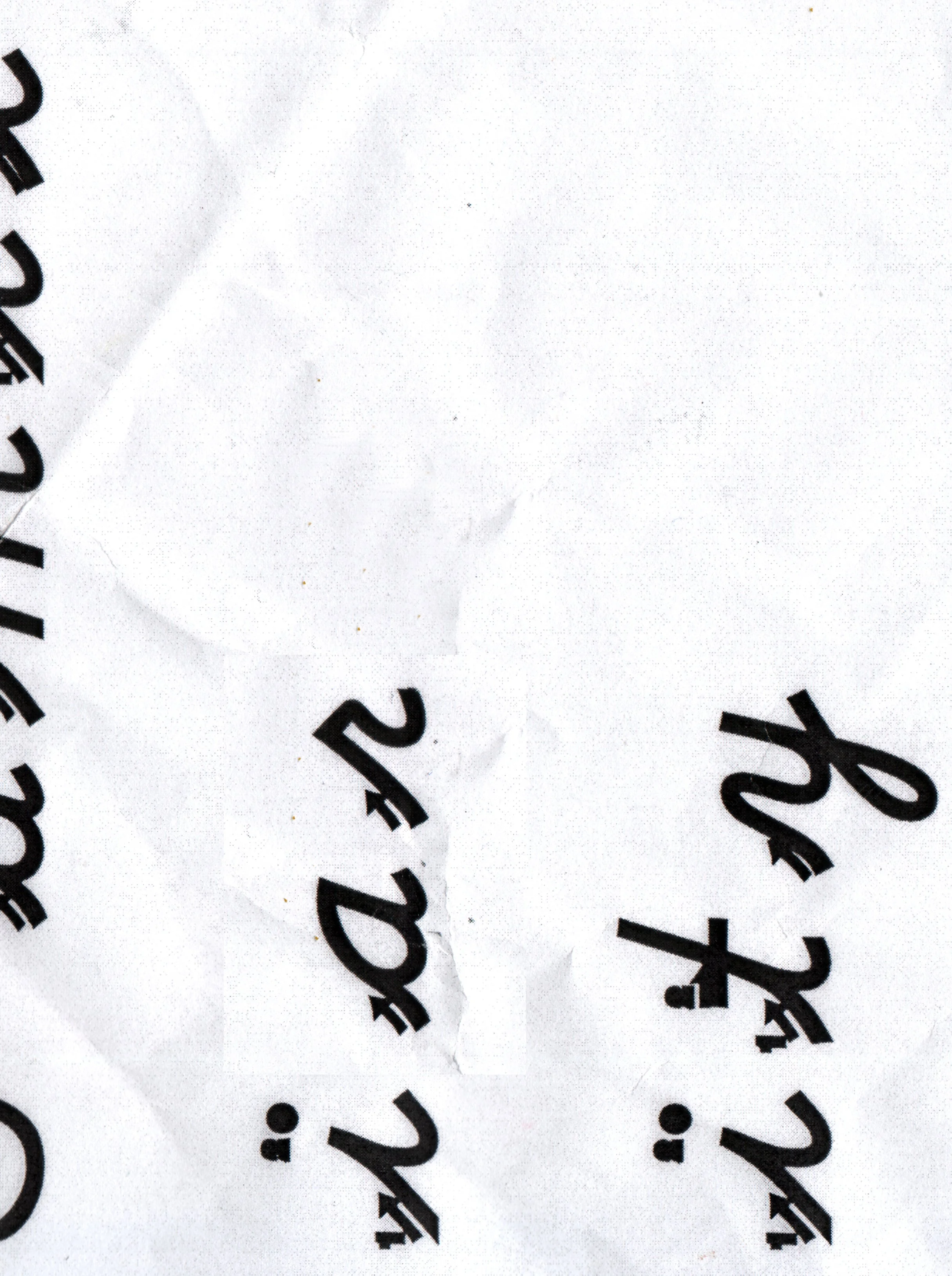 The Un Familiarity (2010)