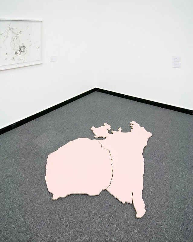 The unfamiliarity (2010)