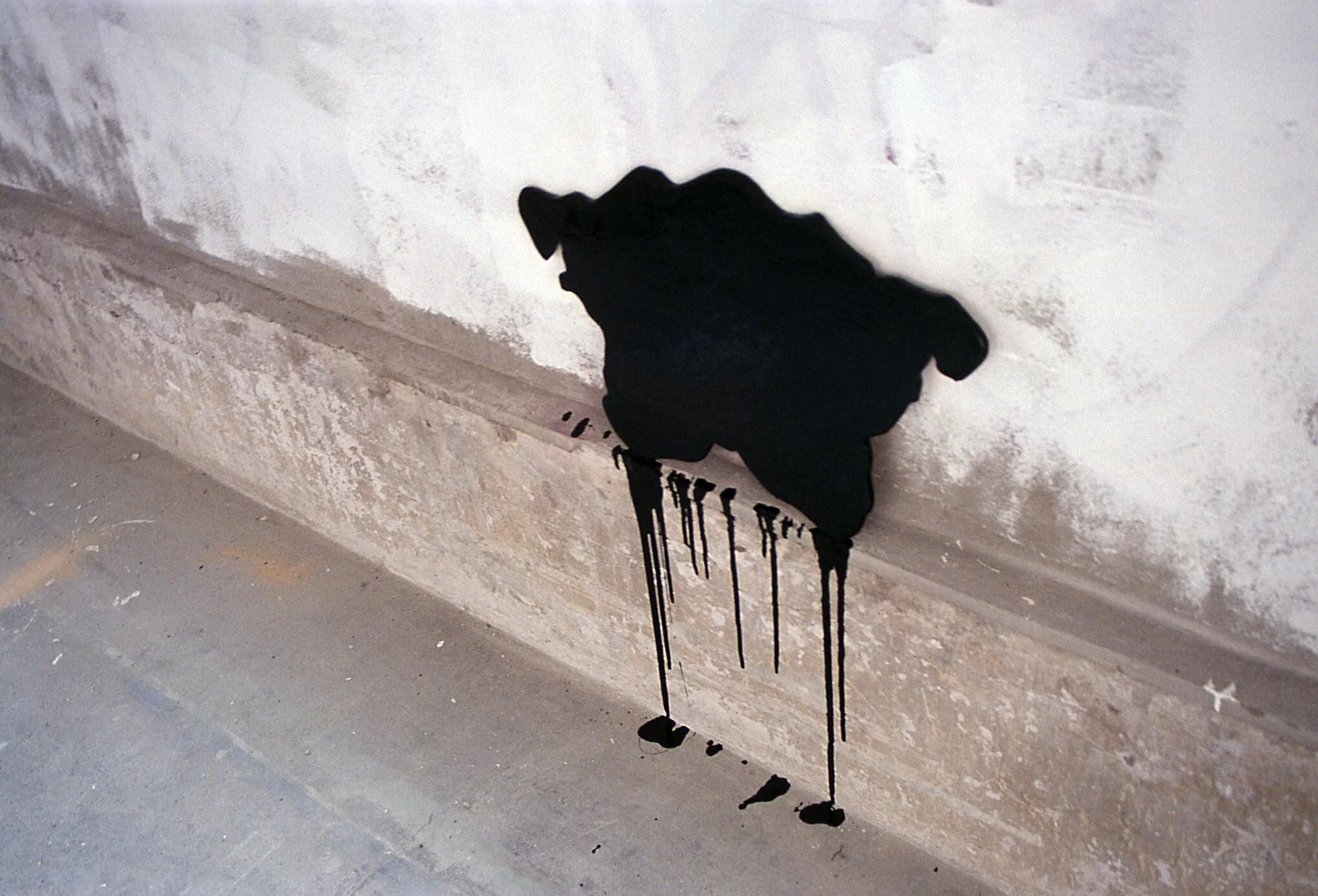 Rorschach pelvis (2005)