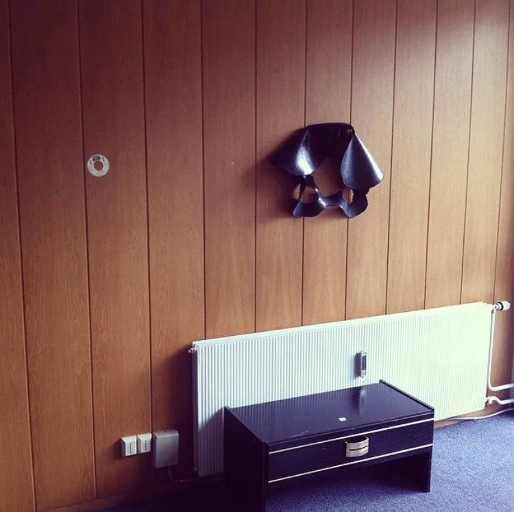 Hanging pelvis (2011)