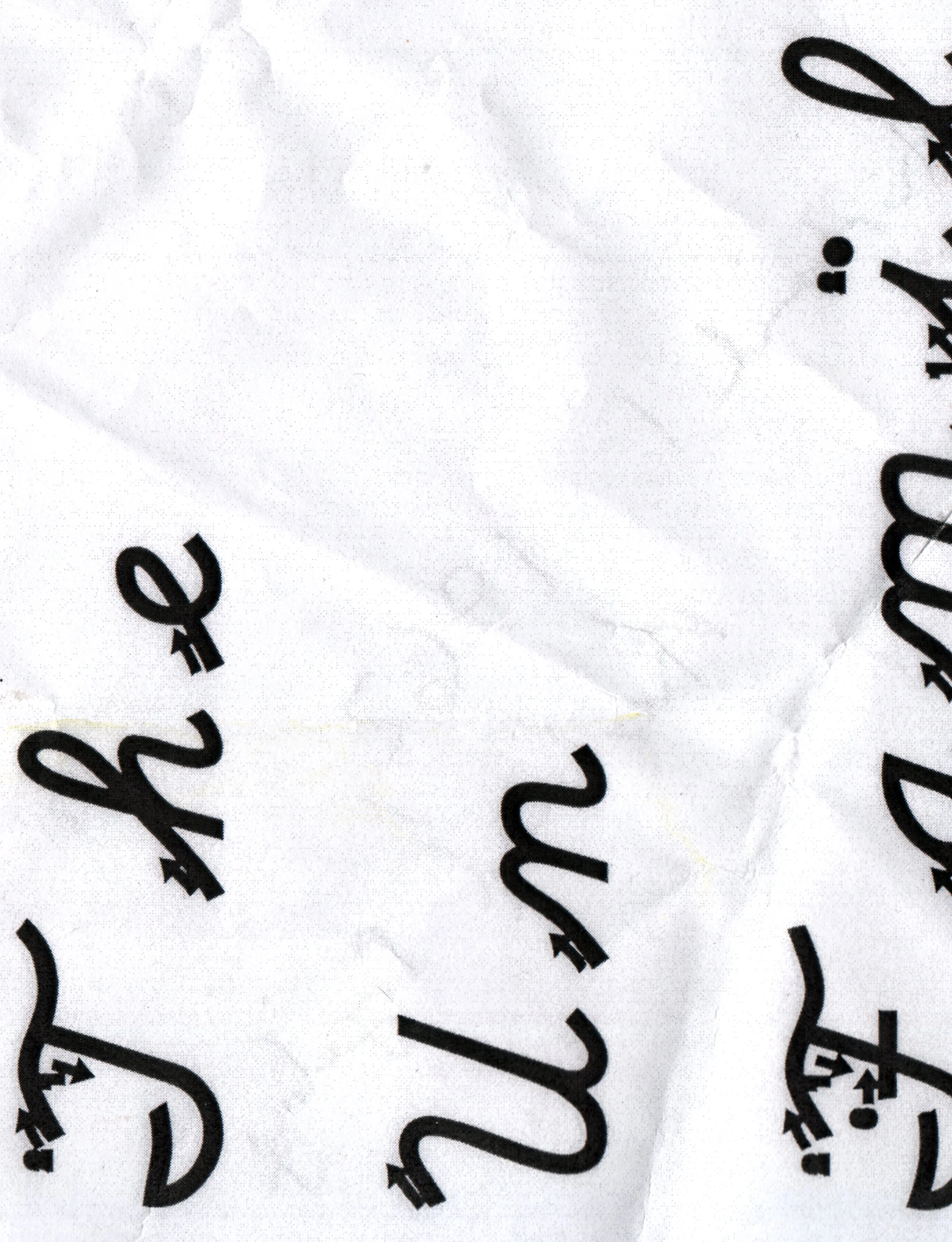 The Un Familiarity (2010)