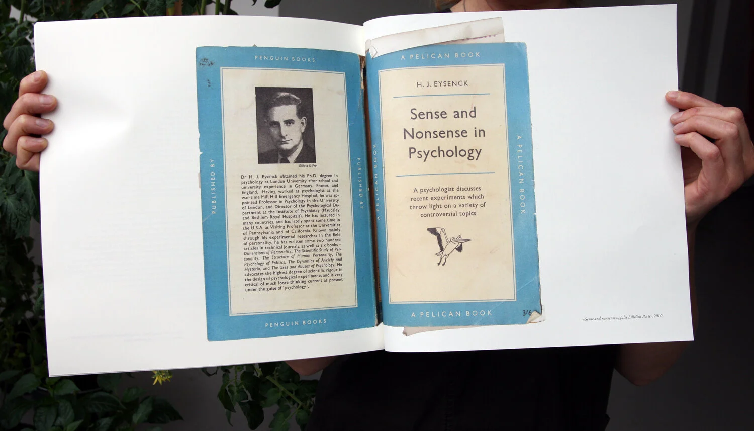 Sense and nonsense (2010)