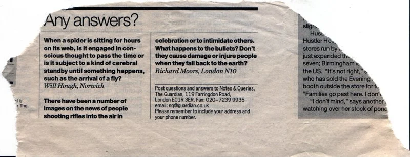 Consciousness (2004)