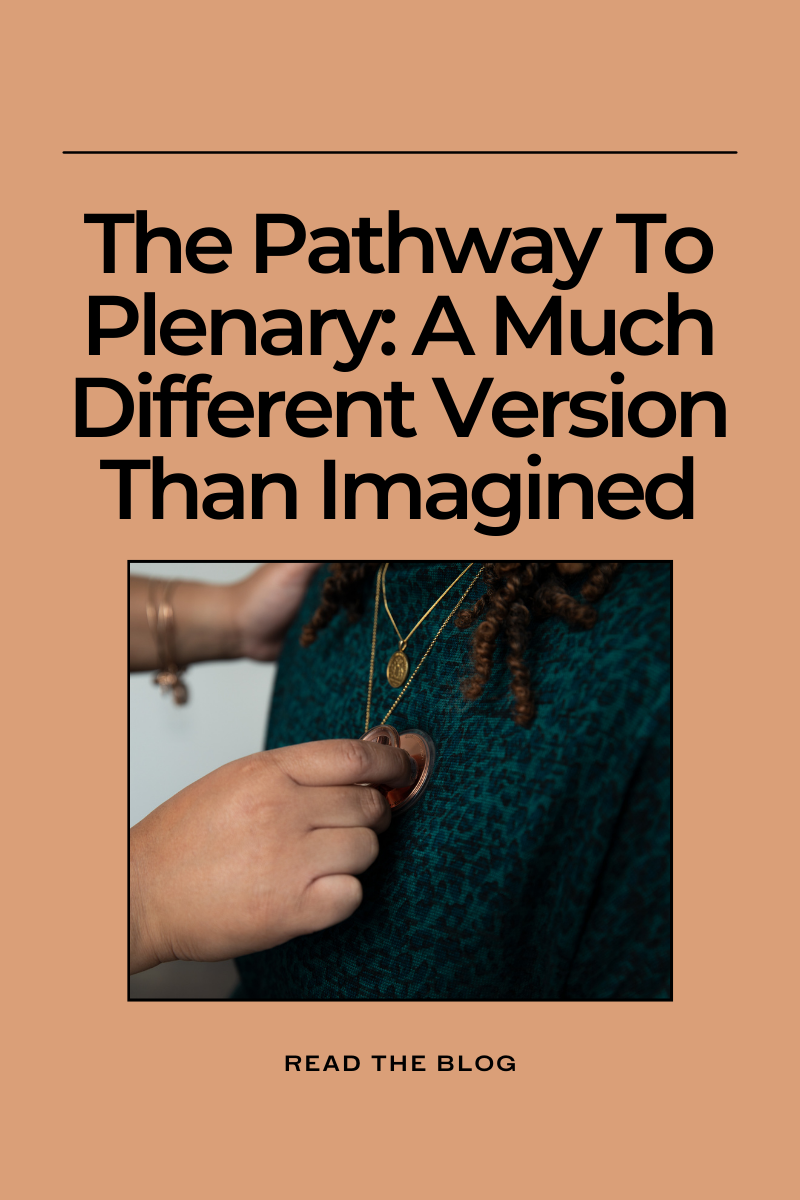The Pathway To Plenary: A Much Different Version Than Imagined