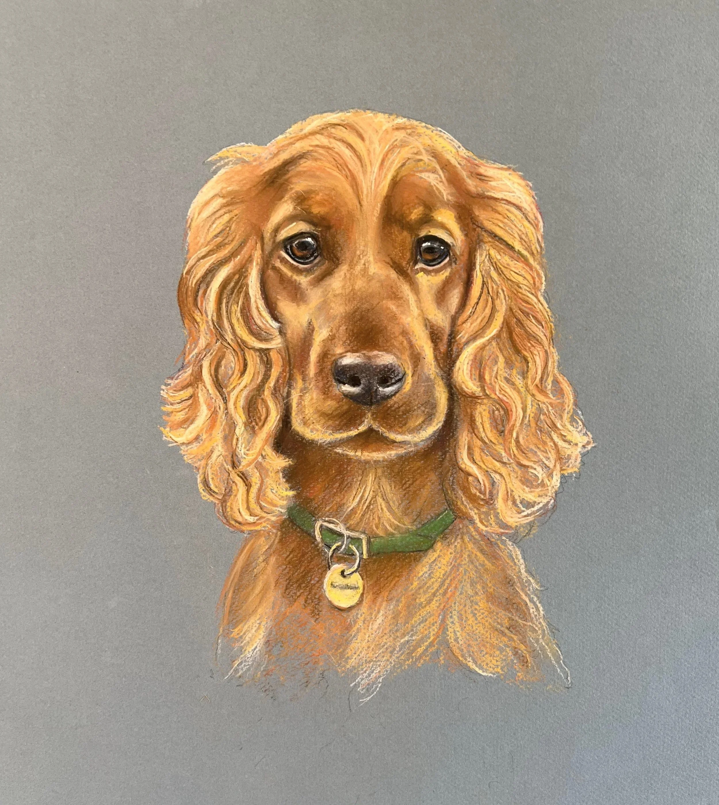 Willa, Pastel on Paper