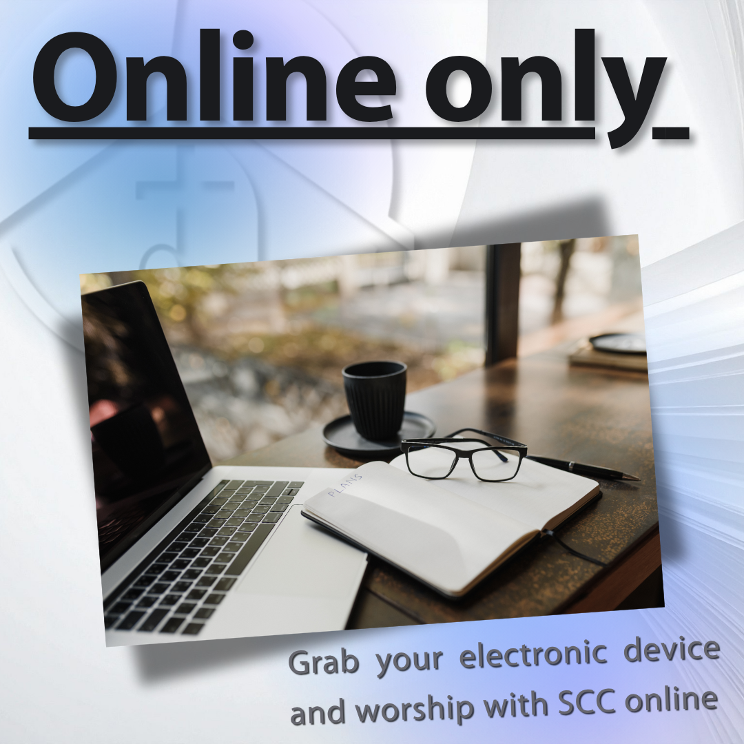 Online Only Service