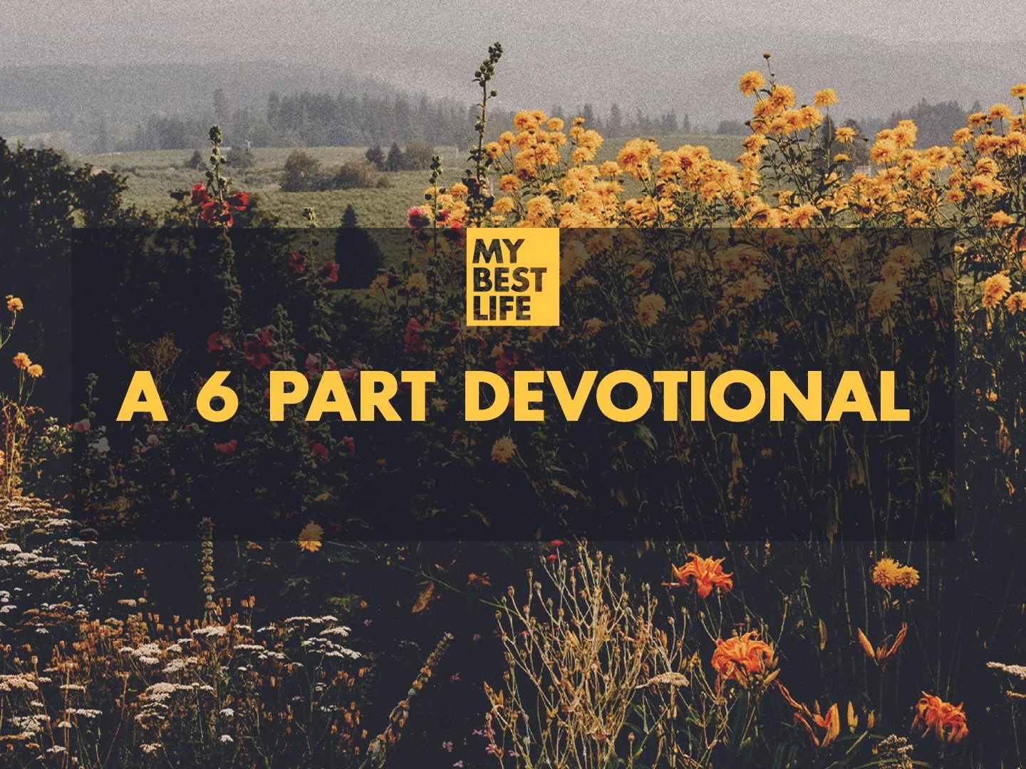 A scenic landscape with yellow and orange flowers in the foreground, rolling hills and trees in the background, and text overlay that says 'My Best Life: A 7-Day Devotional' in bold yellow font.