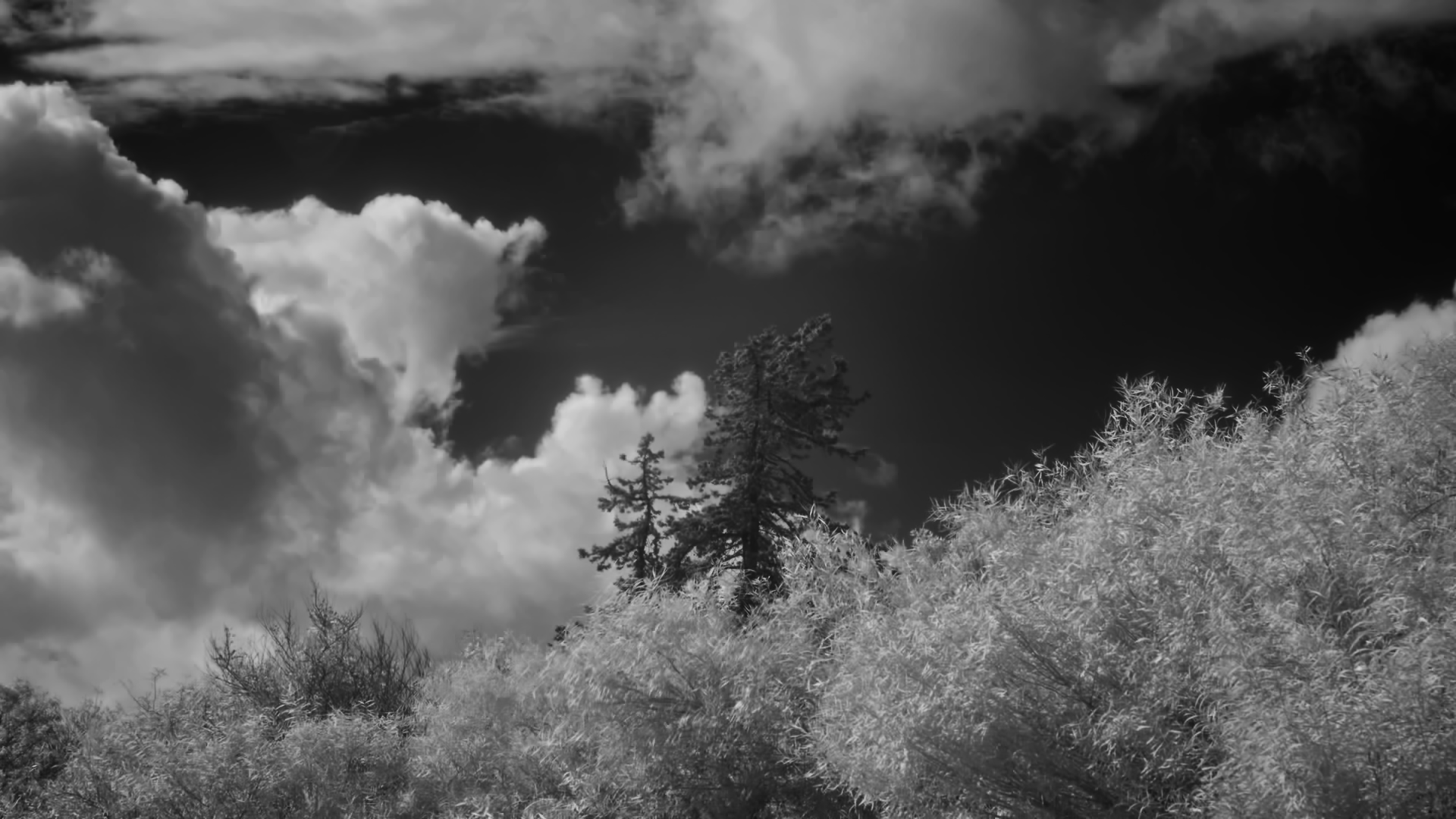 Real Knowledge Has Friction