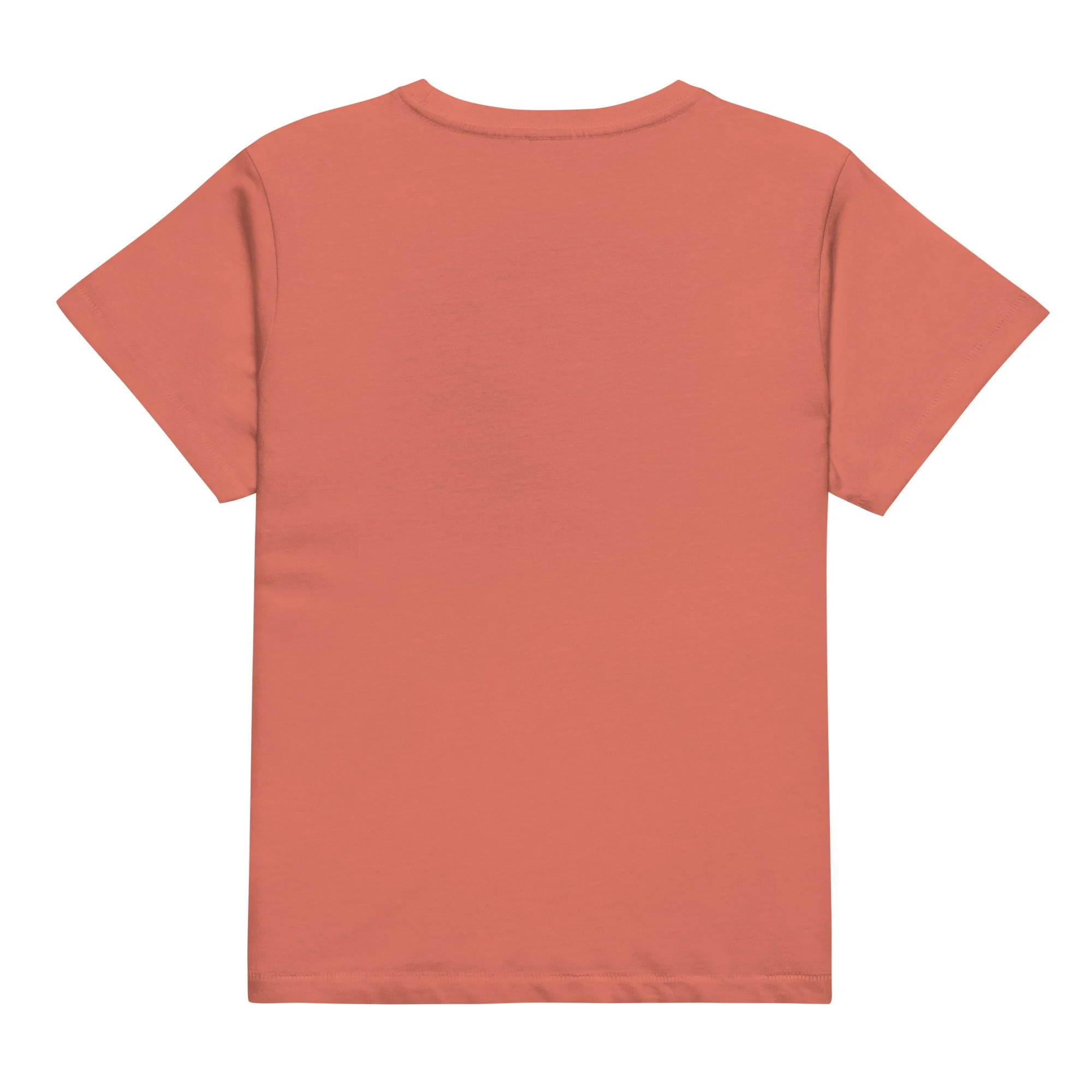 womens-high-waisted-tee-red-sorbet-back-693b879b16dc1.jpg