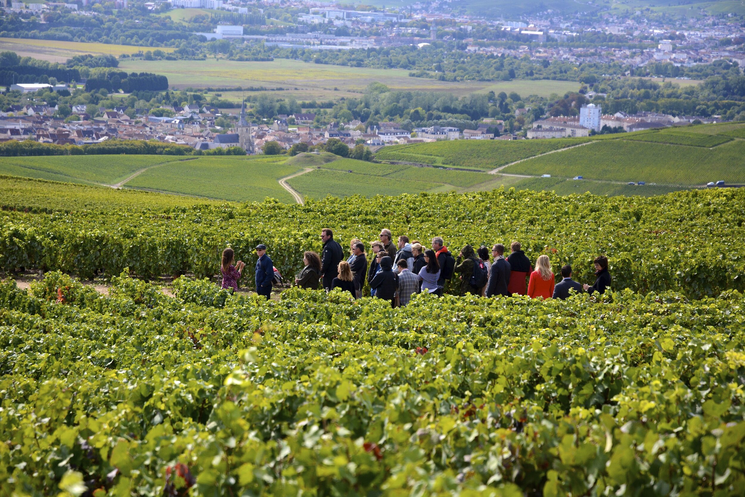 PI pic of France people in vineyard.jpg